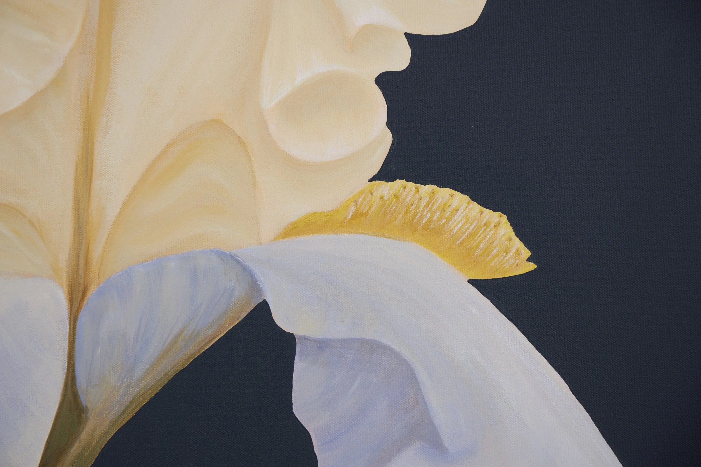 Eye of the Storm-7.jpg