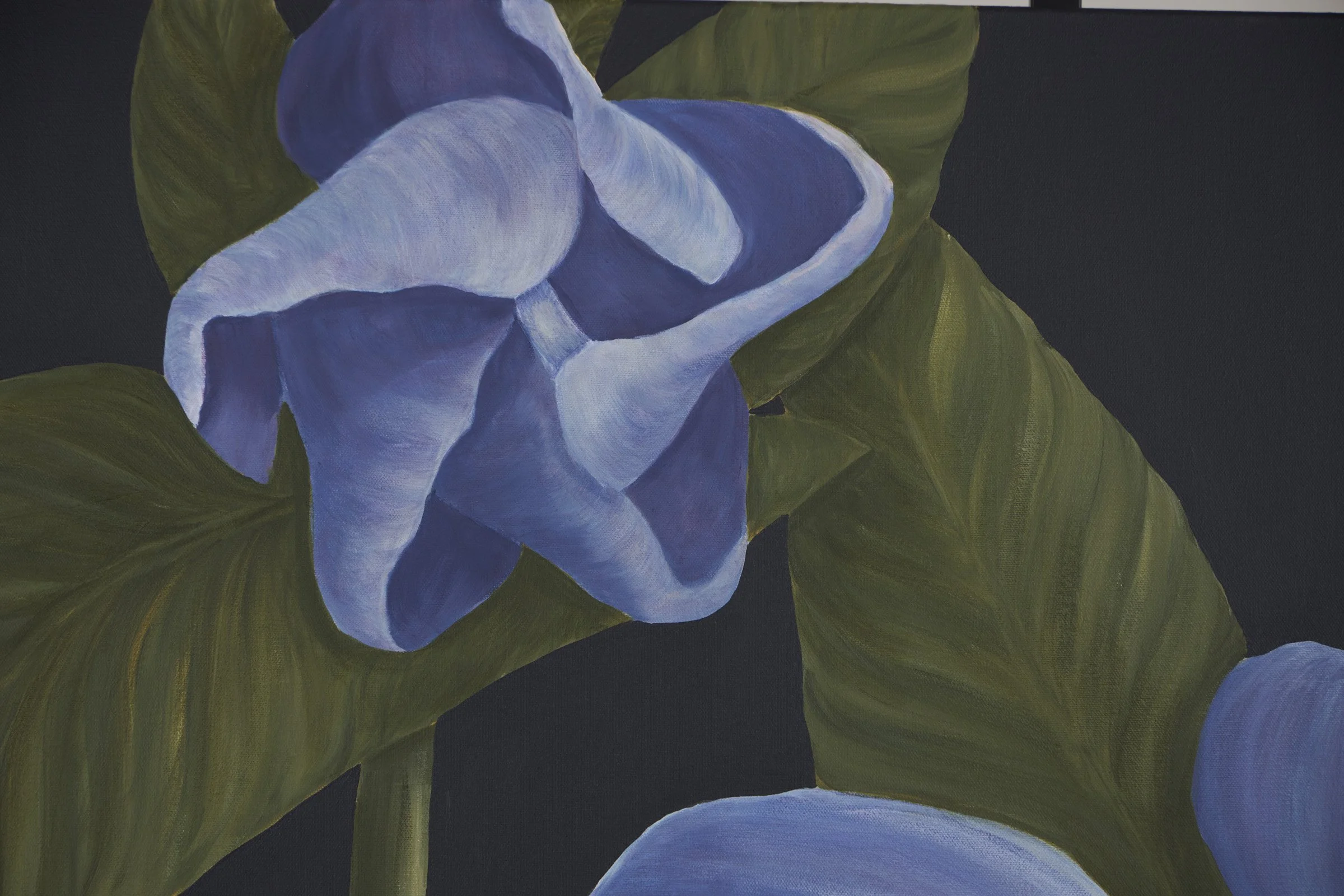 Along the Deerpath-3.jpg