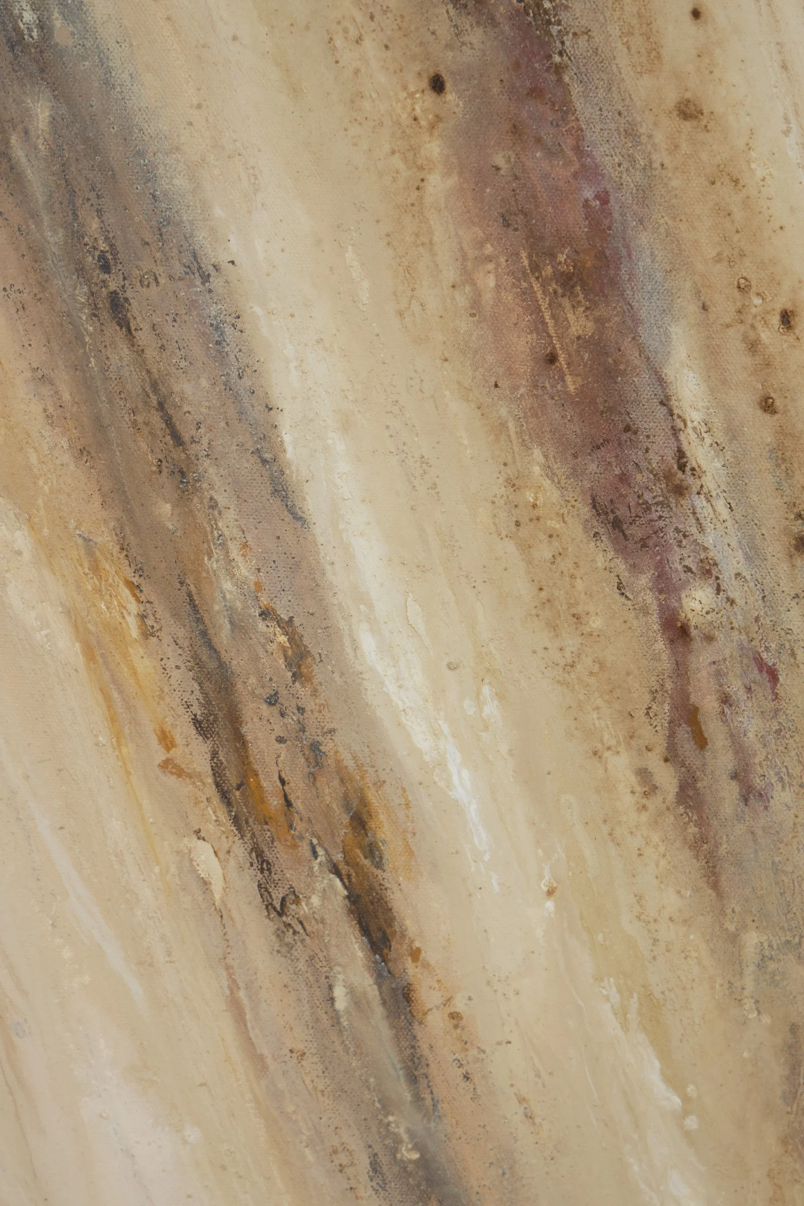 The Story She Keeps-3.jpg