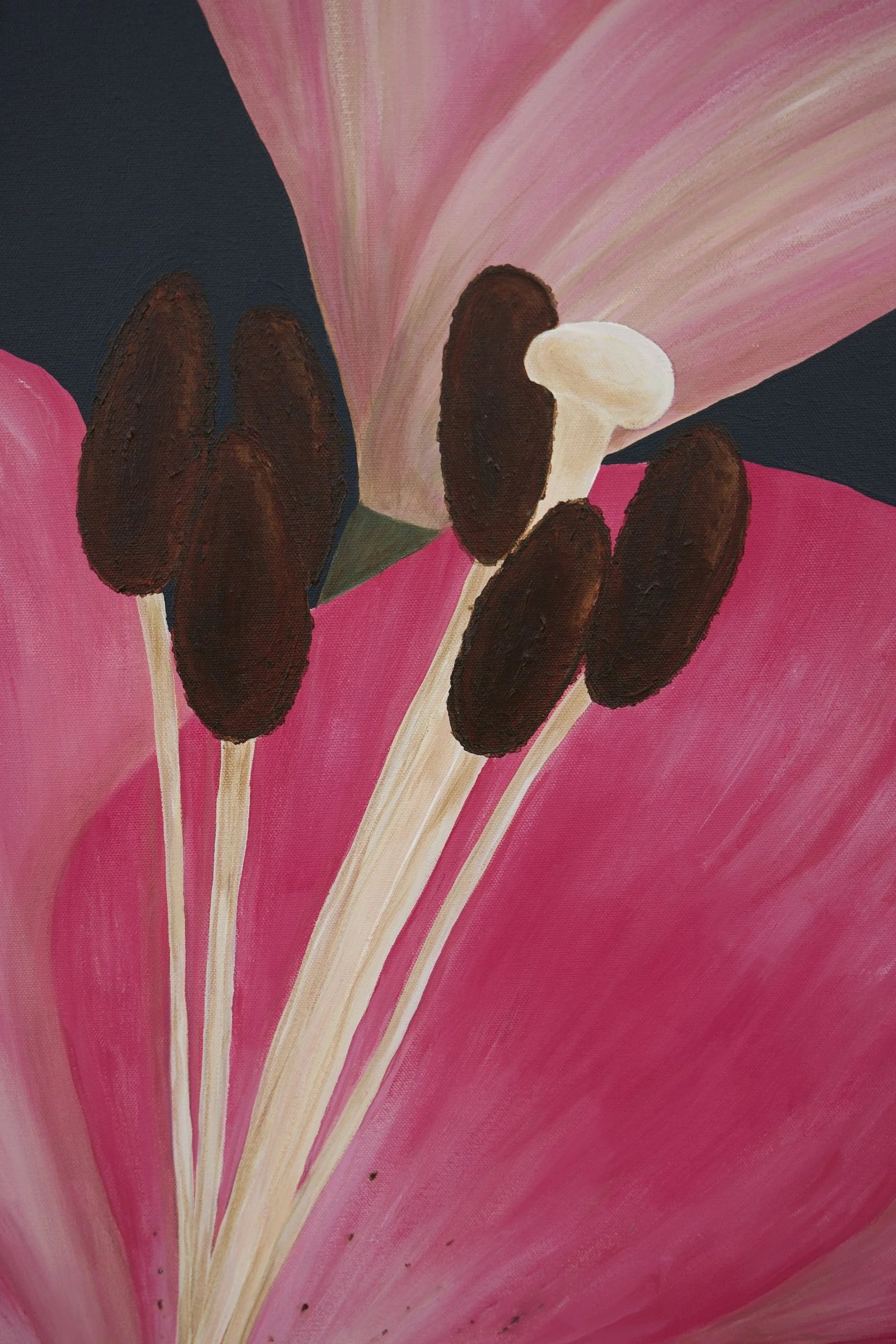 Summer Heralds-2.jpg