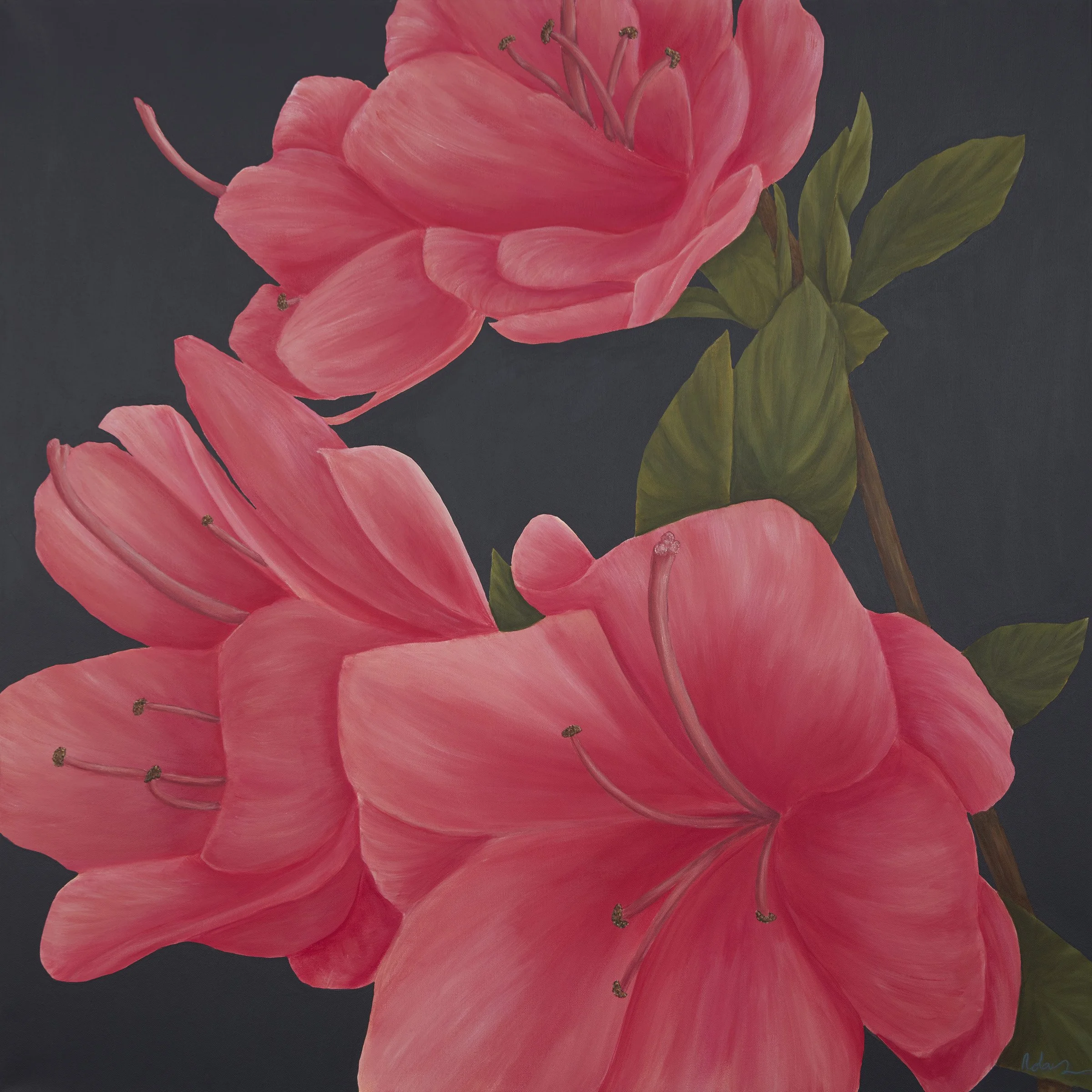 Second Bloom - Unframed