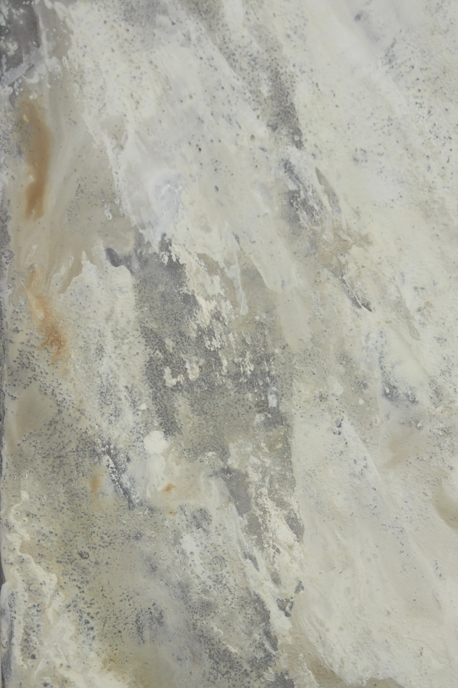 Little One Lost-10.jpg