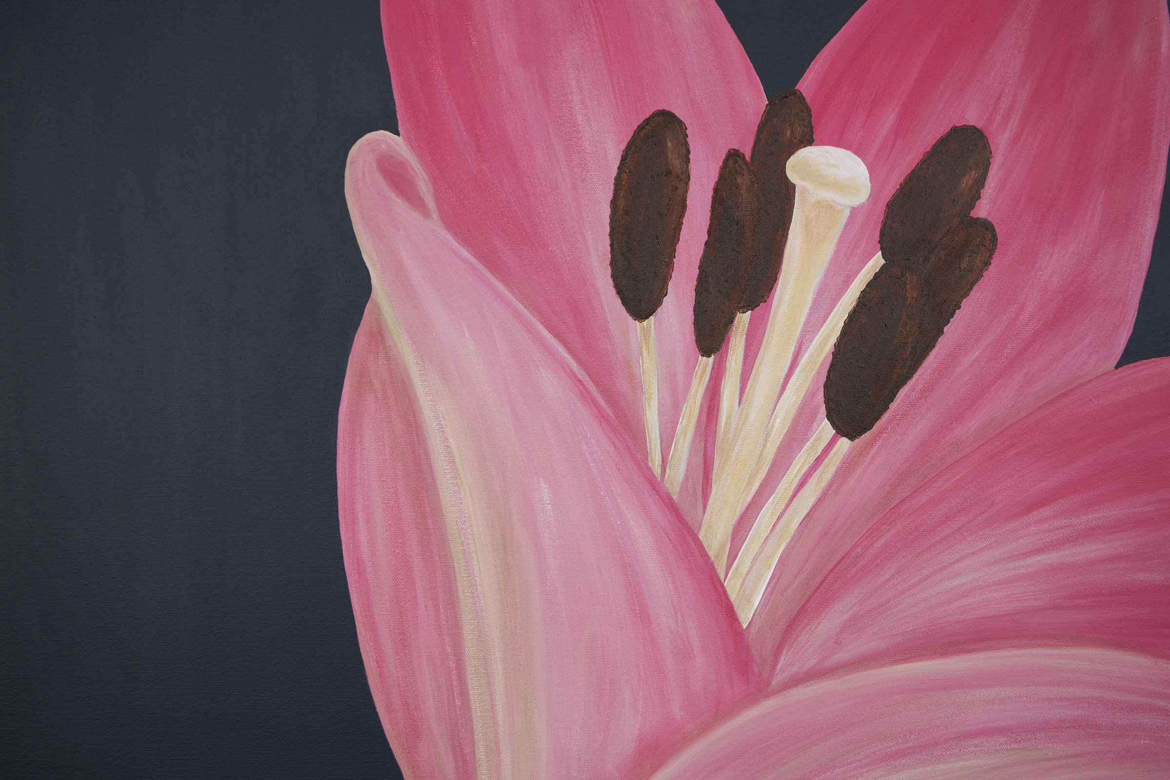 Summer Heralds-4.jpg