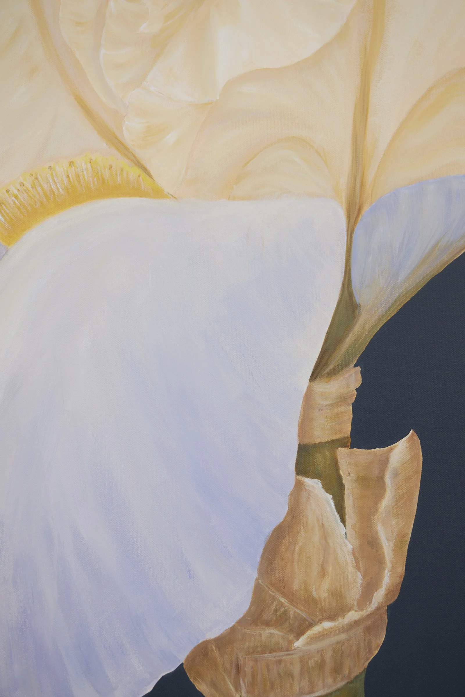 Eye of the Storm-5.jpg