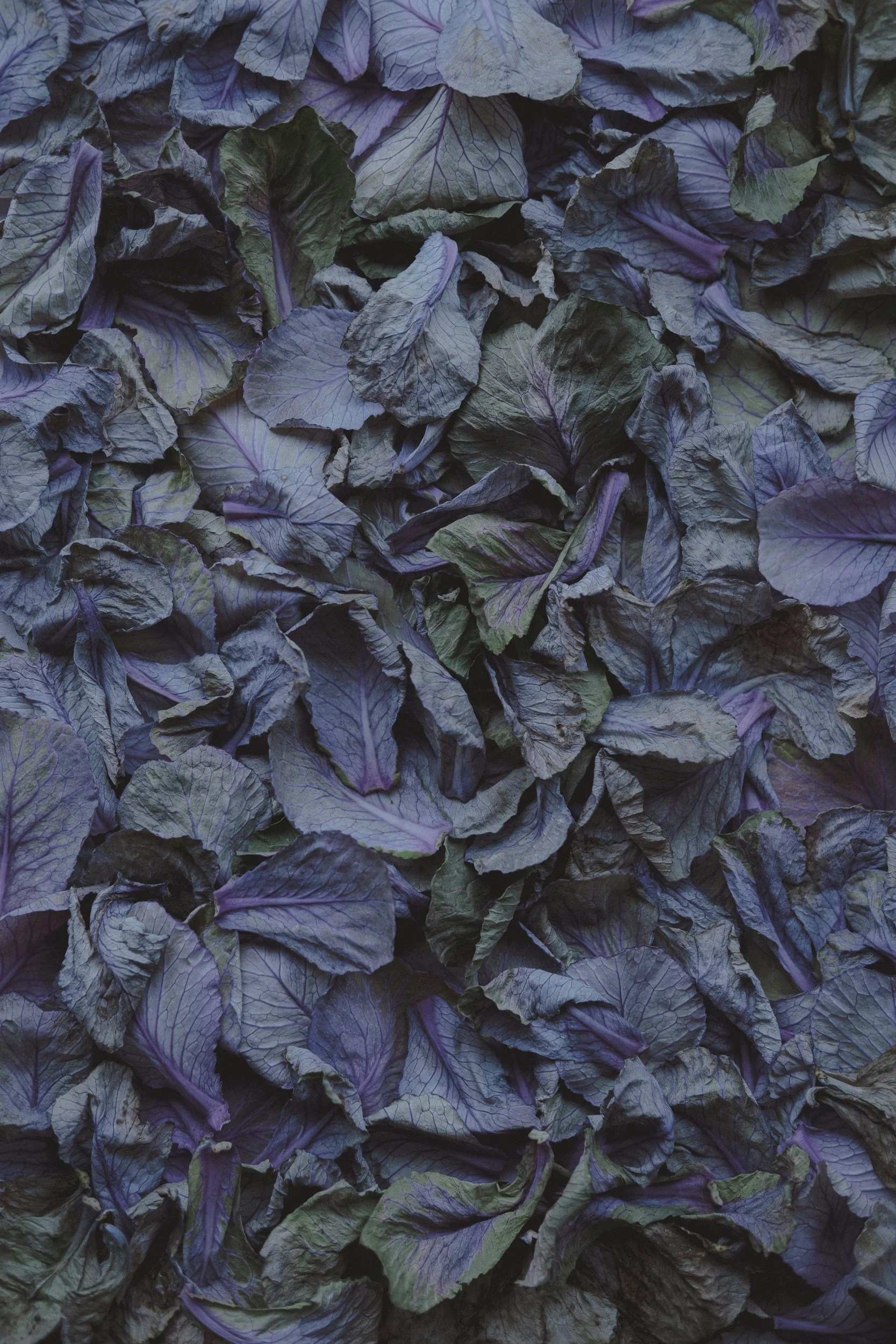 unsplash-image-E4TIq9FBVKE.jpg
