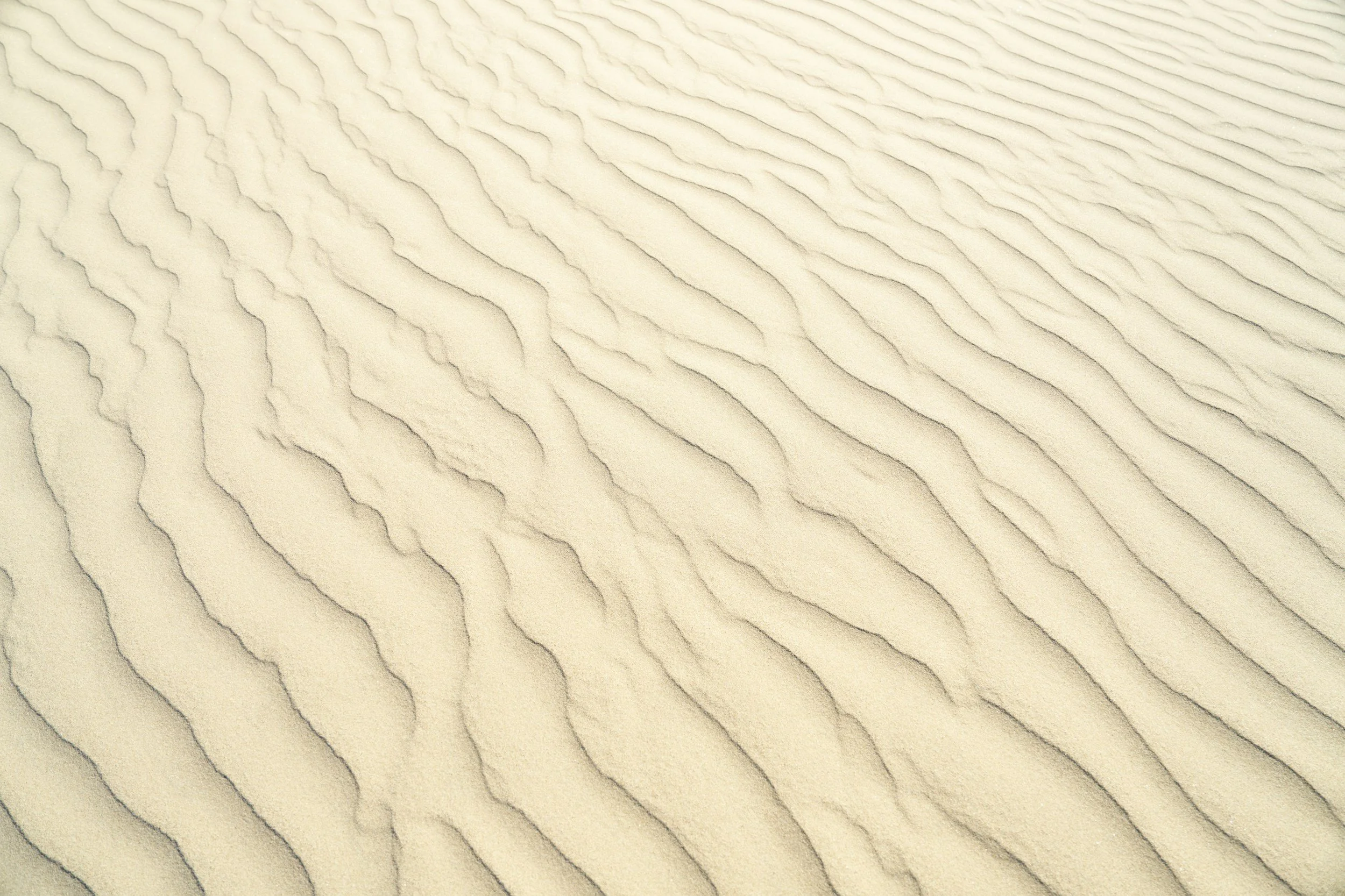 unsplash-image-Nl5a_rZs6y4.jpg