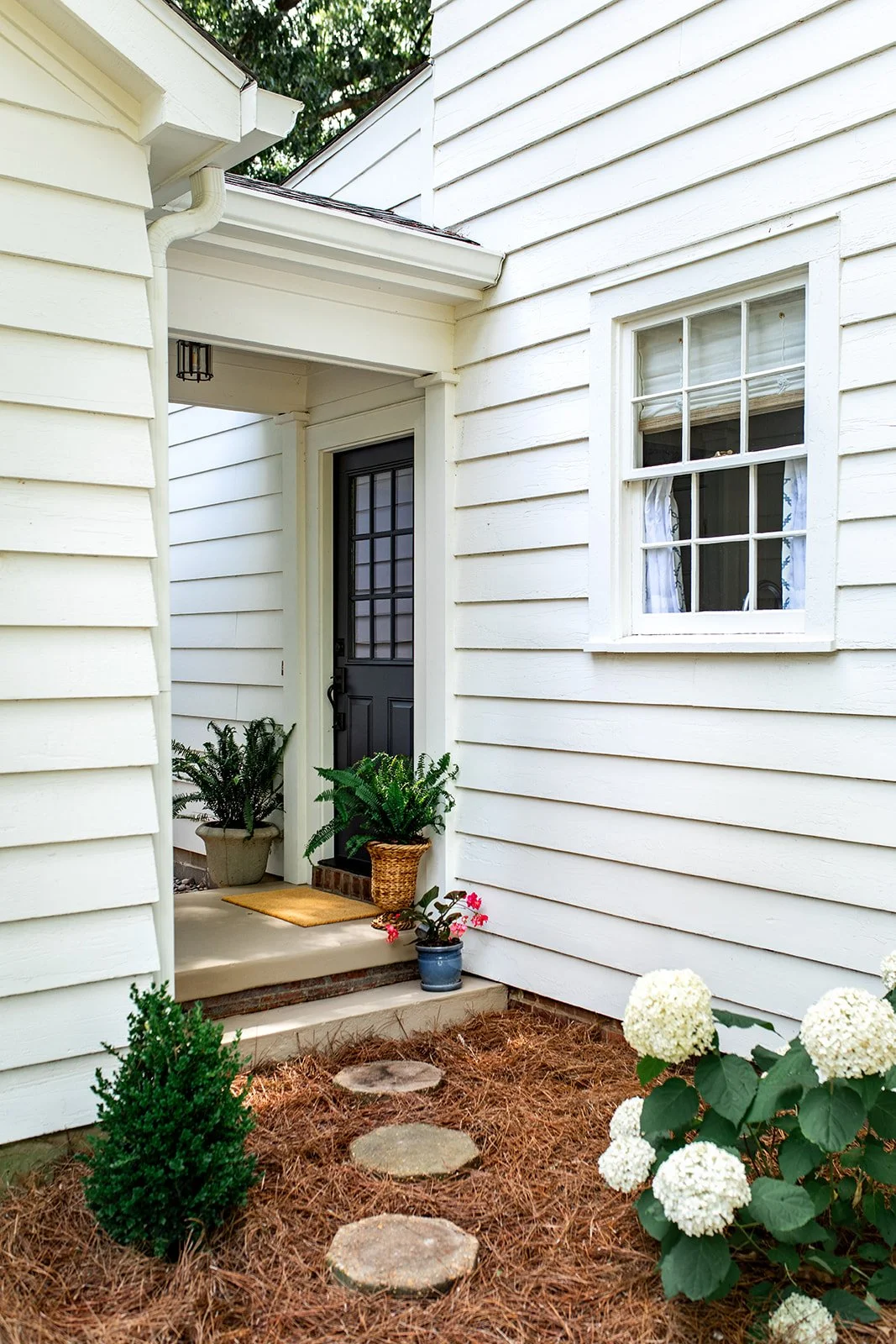 Landscaped walkway with all-new plantings leading to the covered breezeway