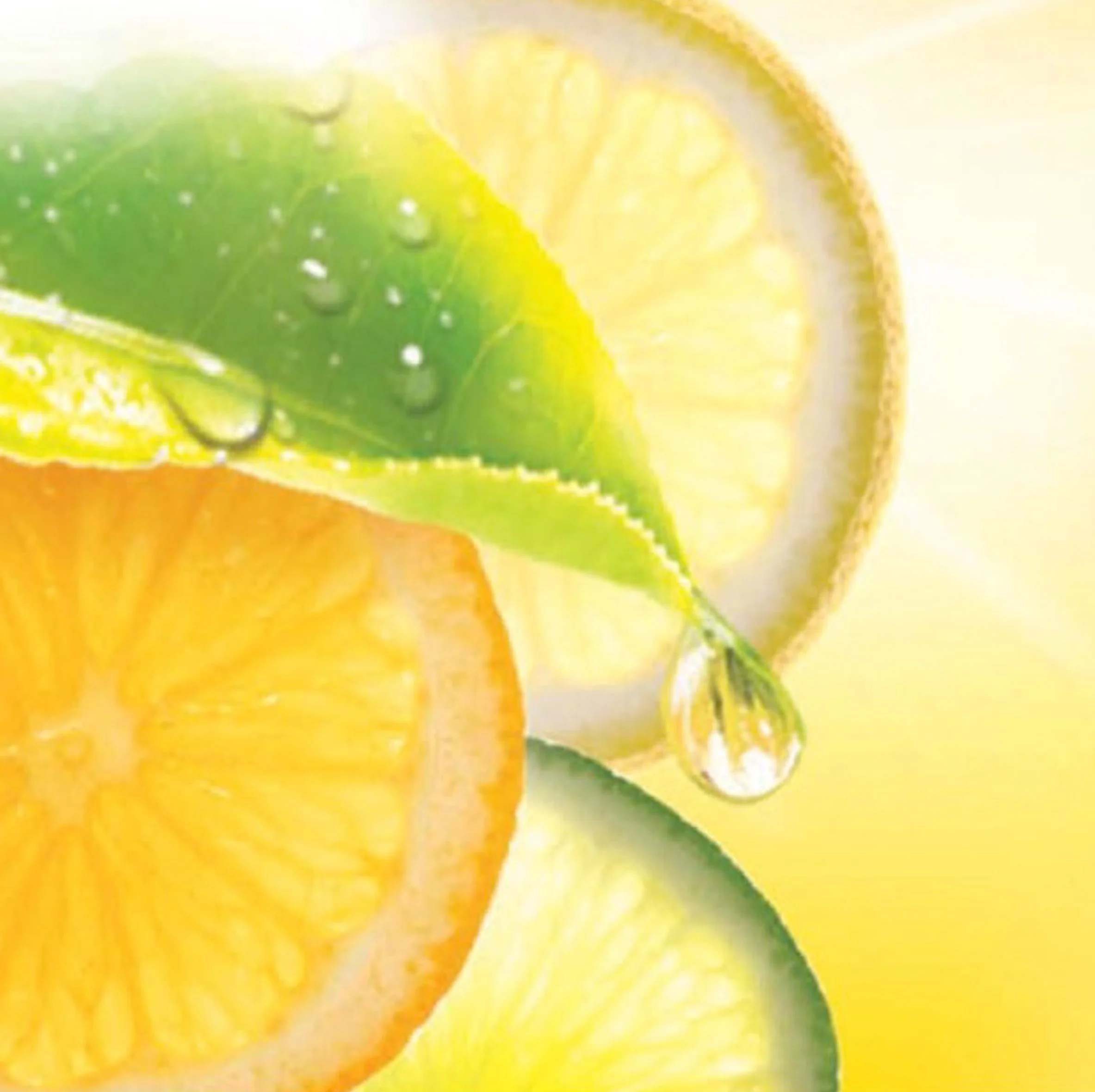 Lipton
