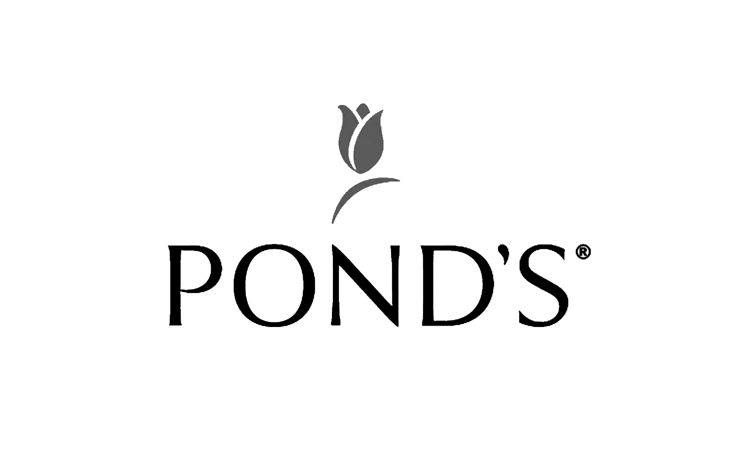 TIGRE+TAMMY+VASERSTEIN+BRANDING+DESIGN+BEAUTY+PONDS+GREY.png