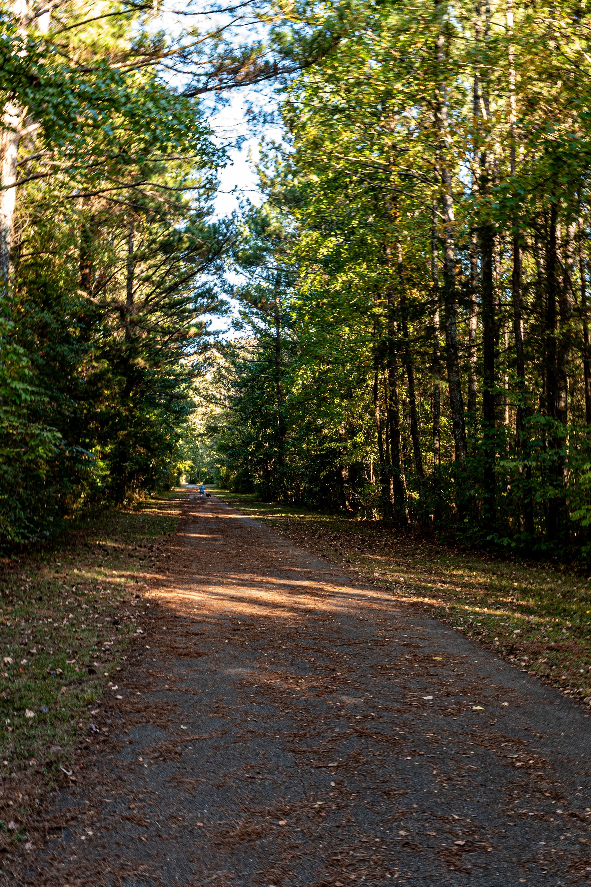 Greenway walking trail-2.jpg