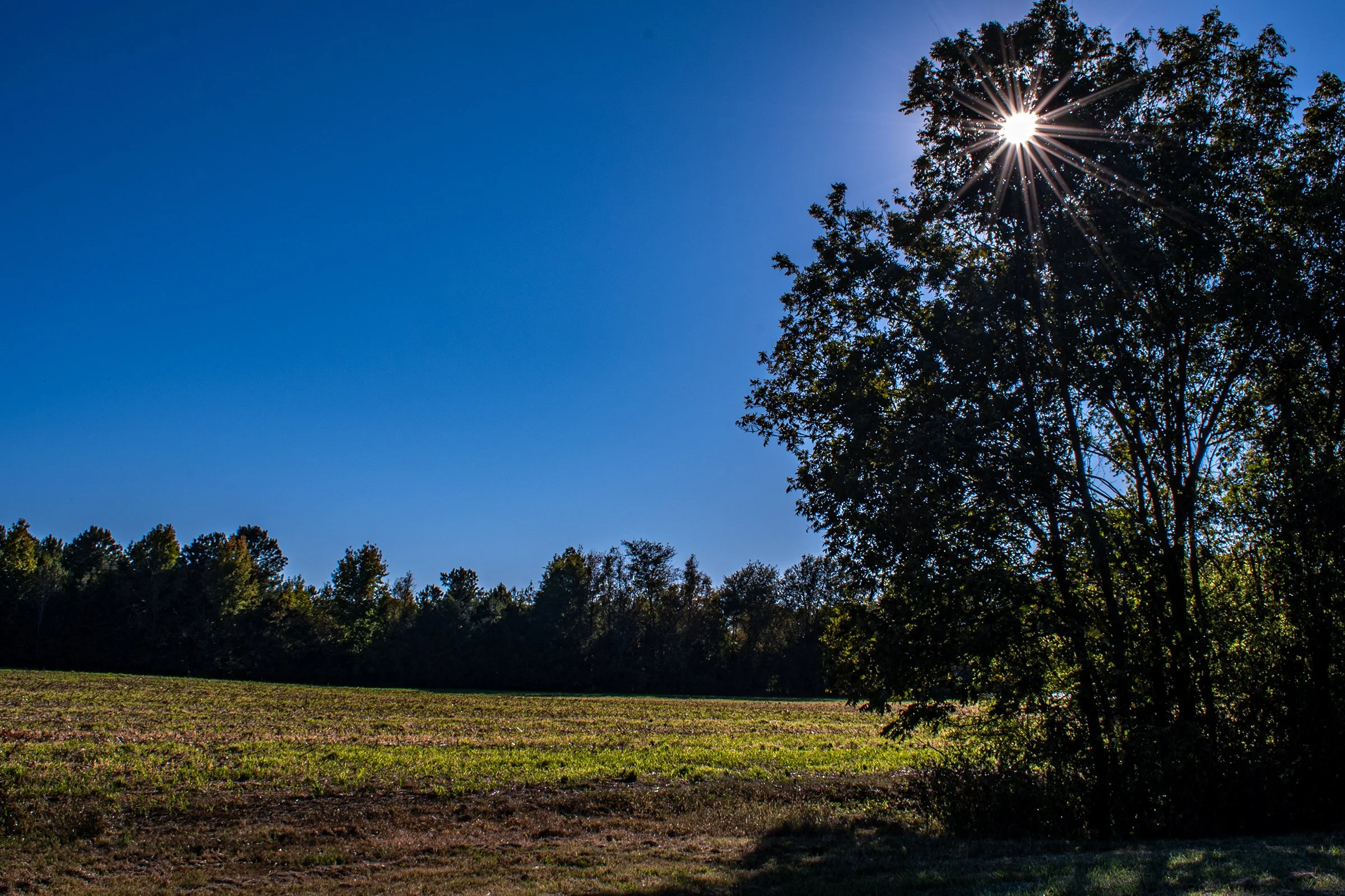 Greenway Walking Trail