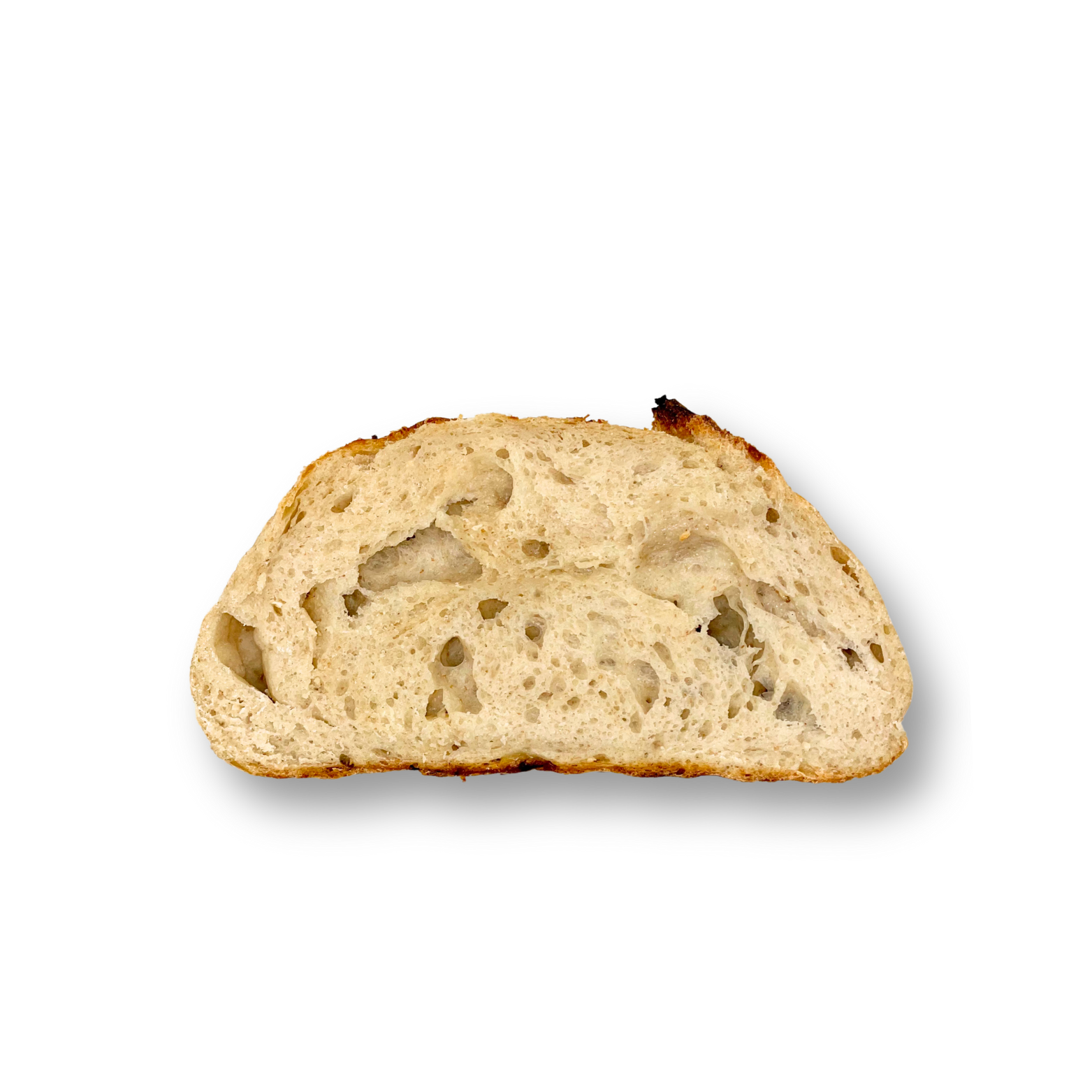 Garlic (2).png