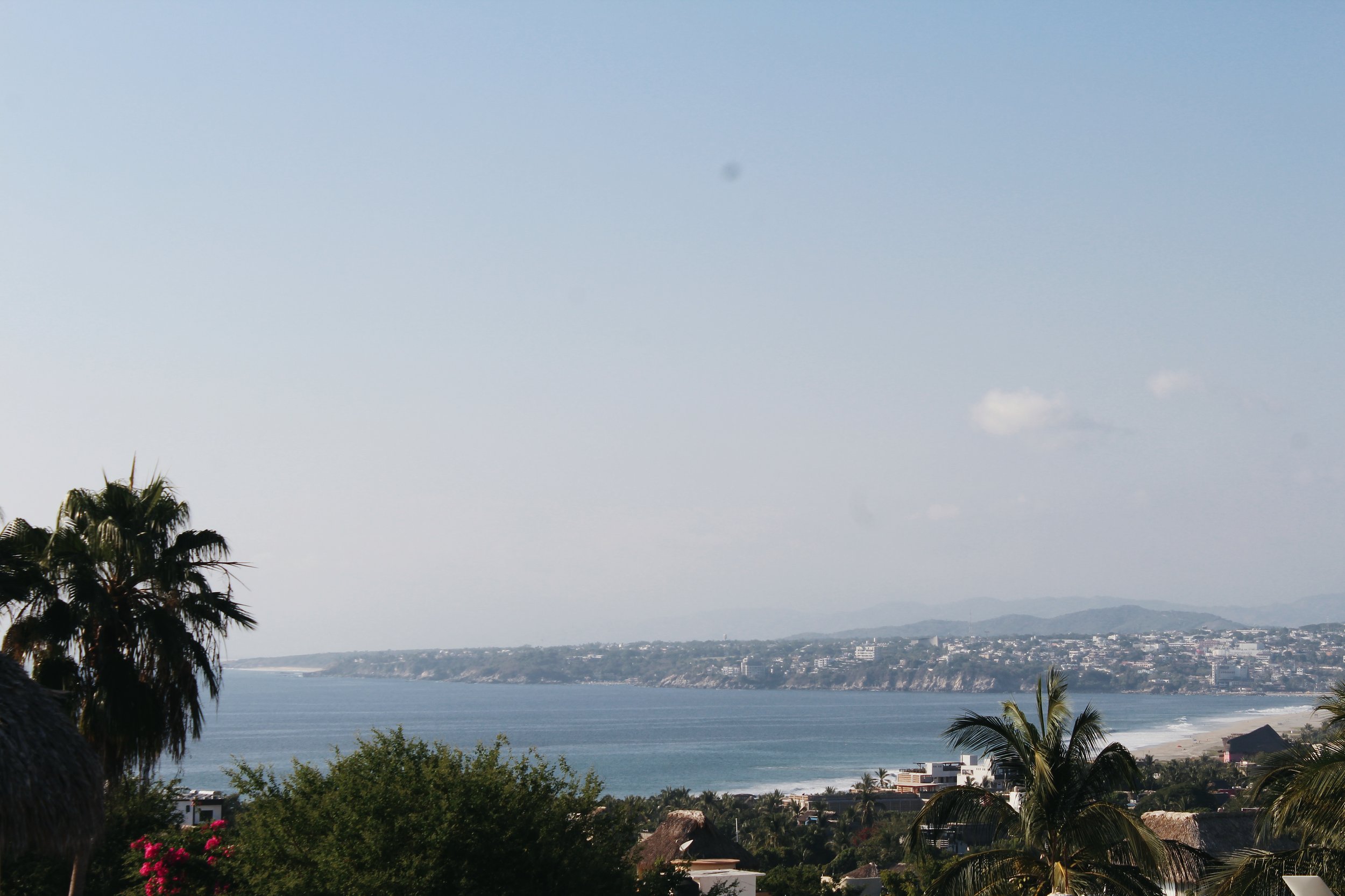 Coastal view with palm trees, ocean, distant mountains, and shoreline buildings on a clear day.