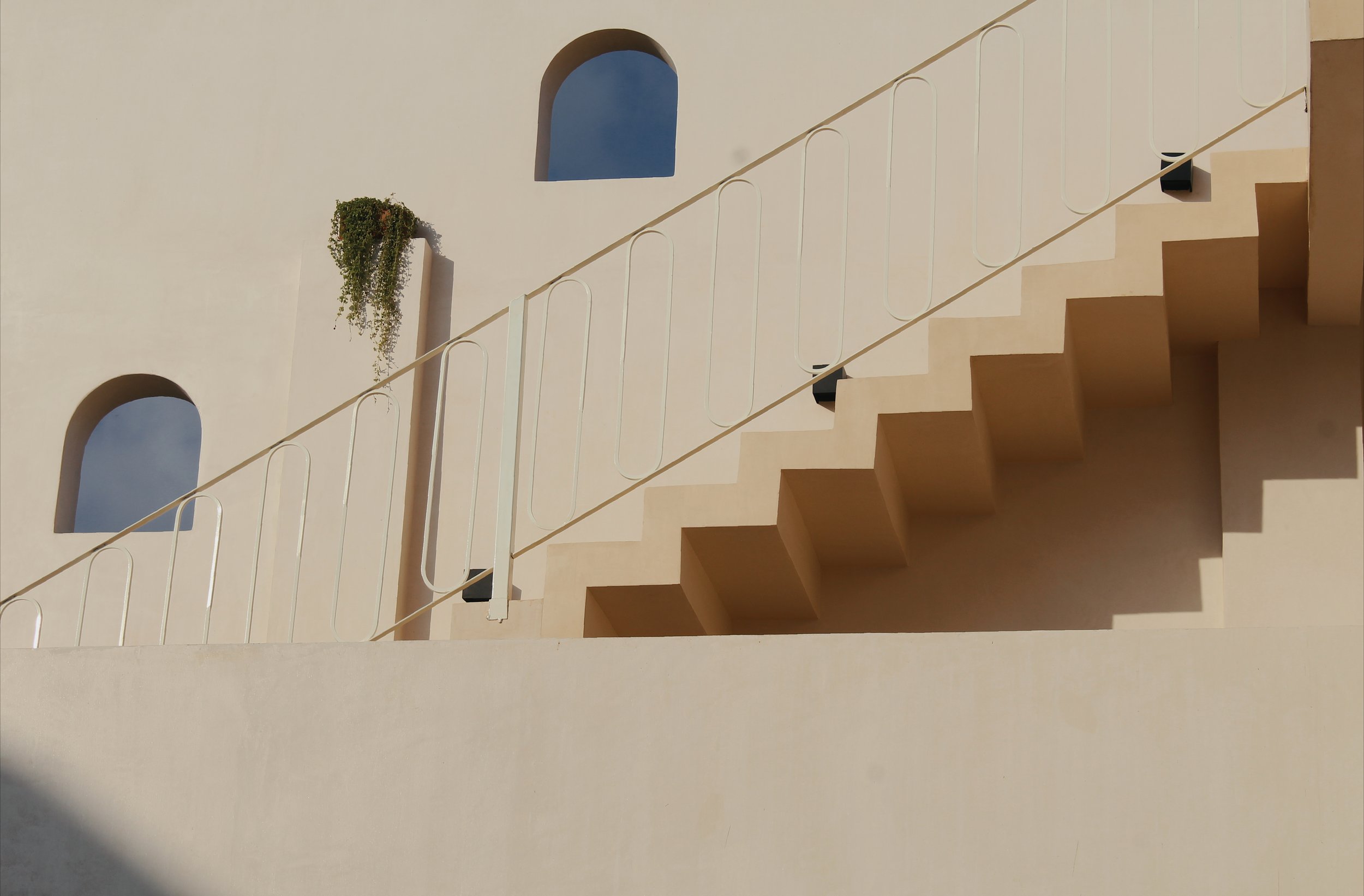 Minimalist architectural staircase with arched windows and a plant hanging over a ledge.