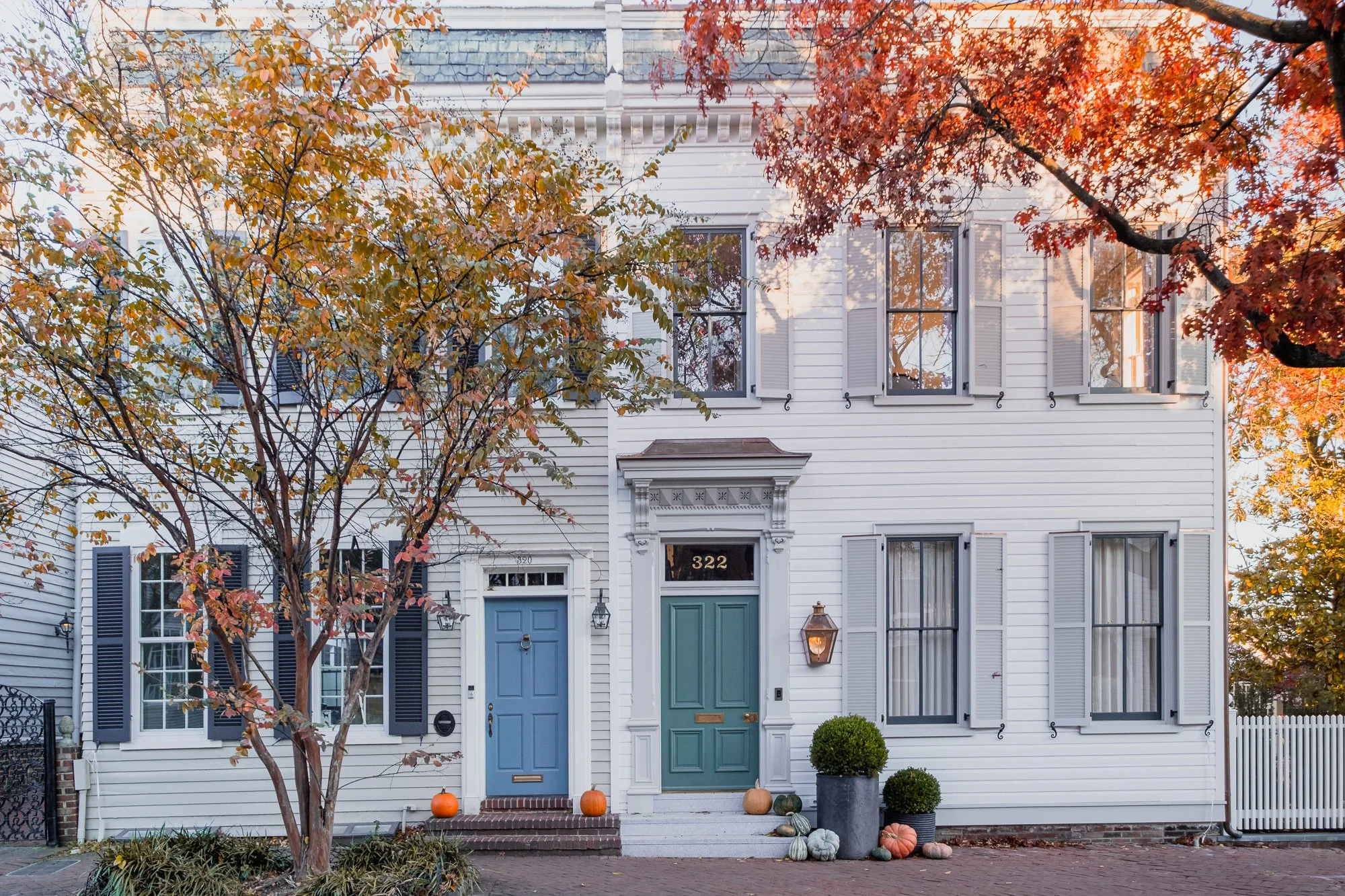 Fall Portrait Sessions in Old Town Alexandria: Beautiful Light, Colorful Foliage and Candid Family Moments