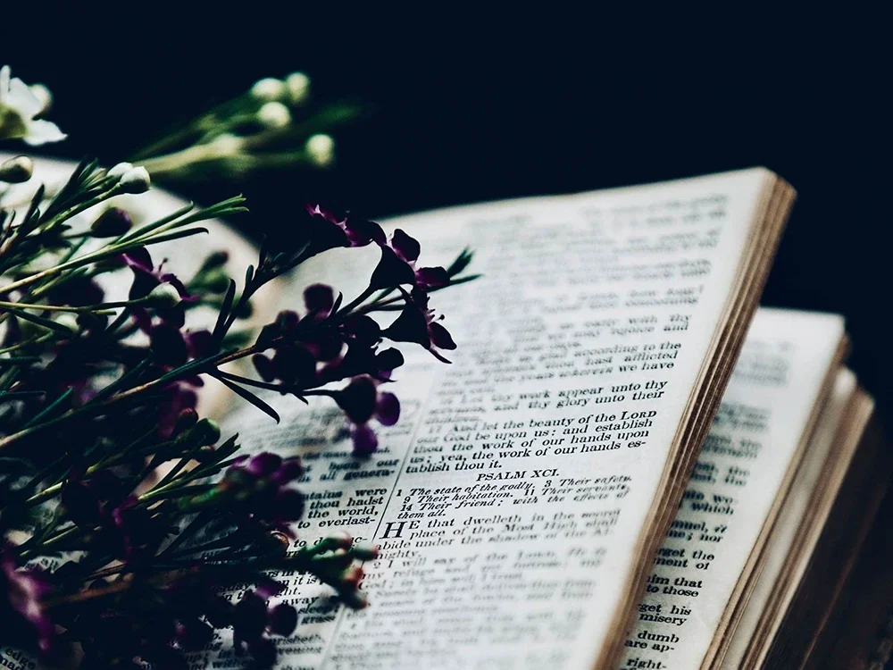 KINK DICTIONARY – Learn your BDSM &amp; Fetish Vocabulary