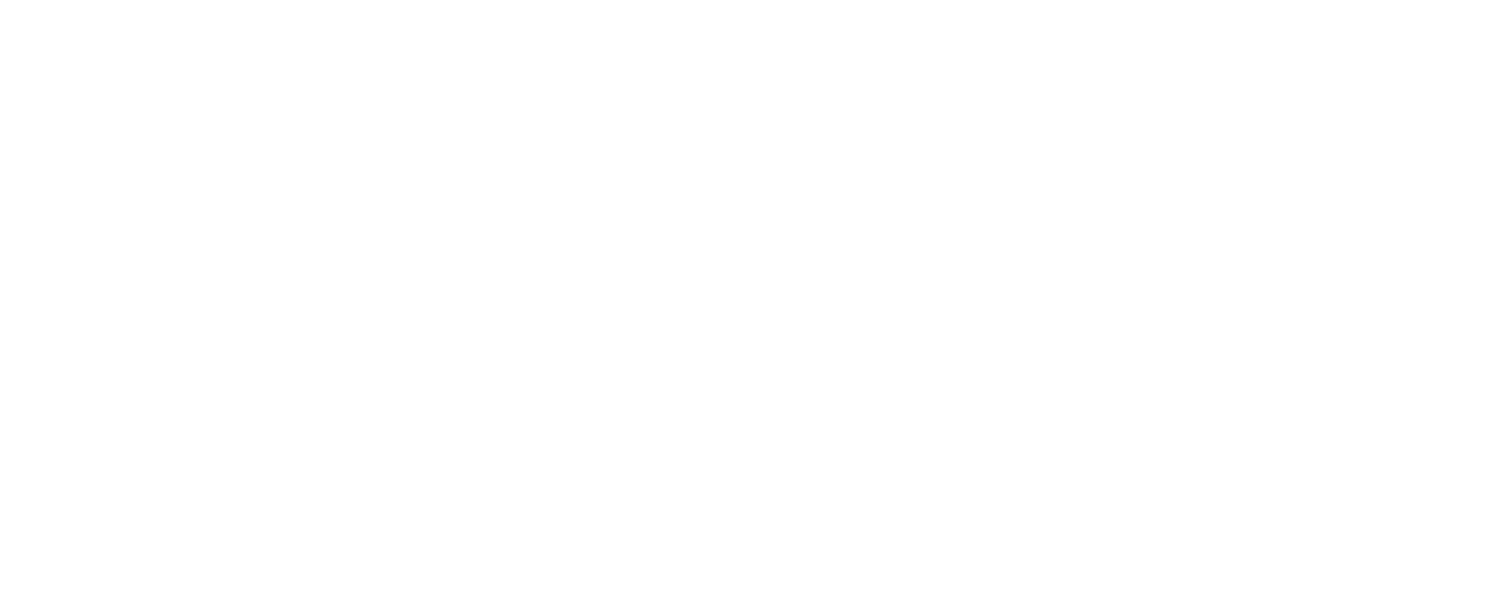 ESCORT BERLIN – Boutique Escort Service – MOONLIGHT SOCIETY