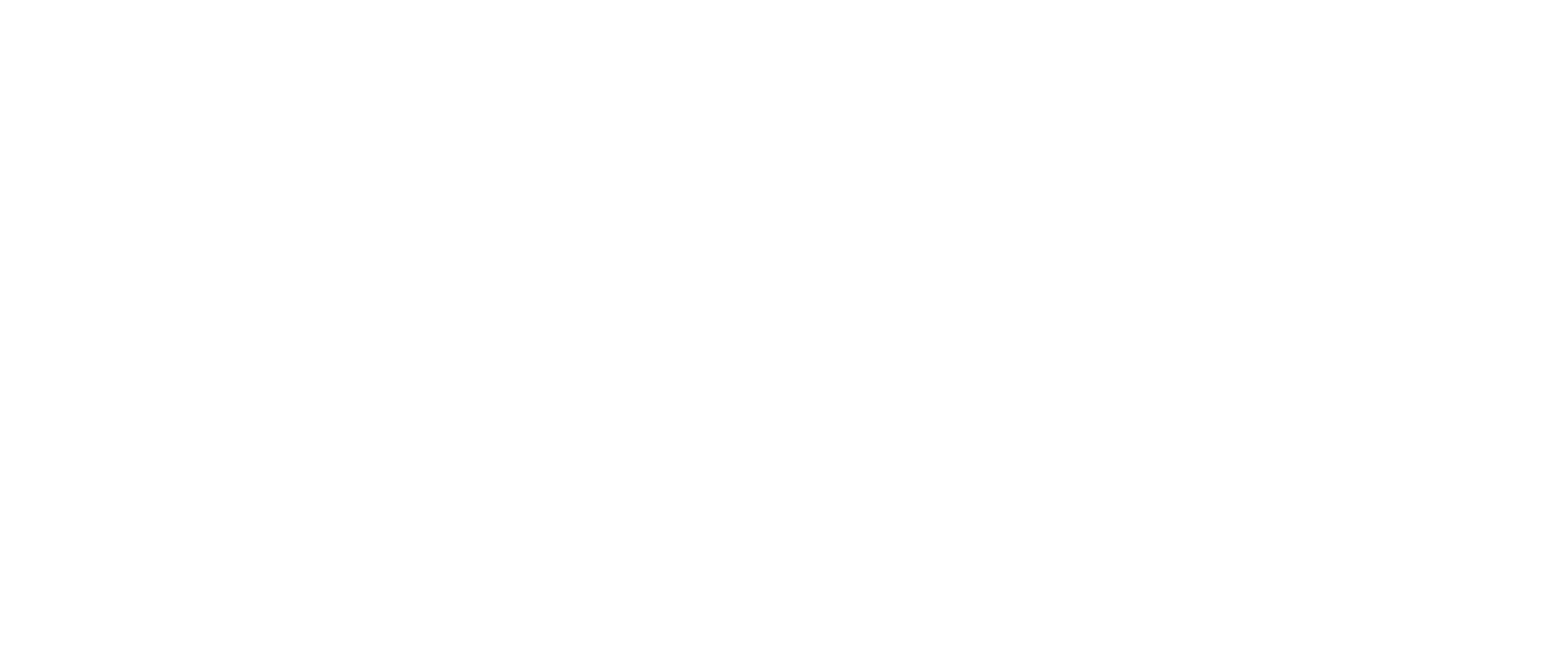 Escort Berlin – Boutique Escort Service | Moonlight Society