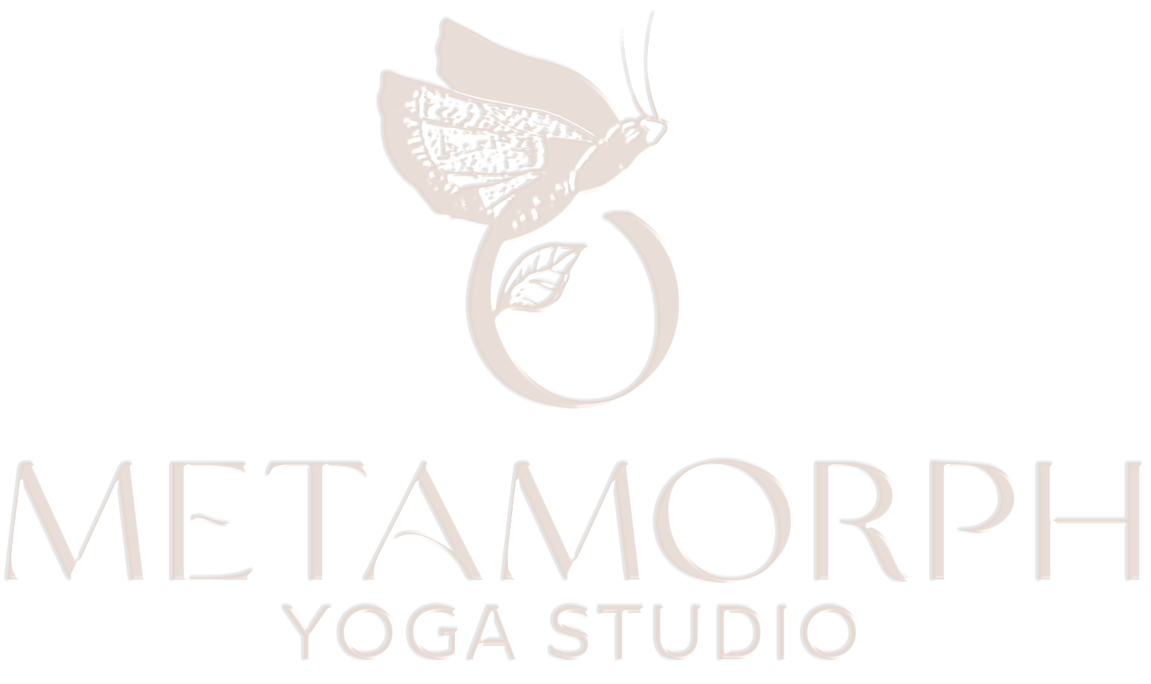 Custom primary logo for a yoga studio, featuring elegant typography and calming design elements that reflect the studio’s focus on mindfulness and wellness. Branding created by Neourish Brand Marketing Studio.