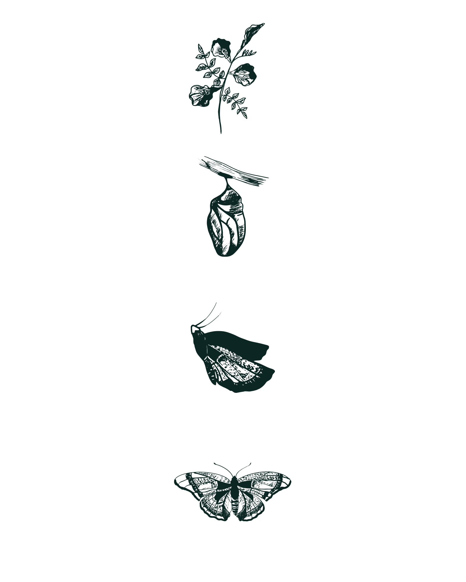Custom logo illustrations designed for storytelling, featuring unique, artistic elements that visually represent narrative themes and evoke emotion. Branding created by Neourish Brand Marketing Studio.