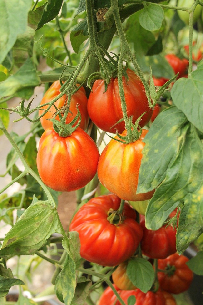 giant garden paste 2.jpg