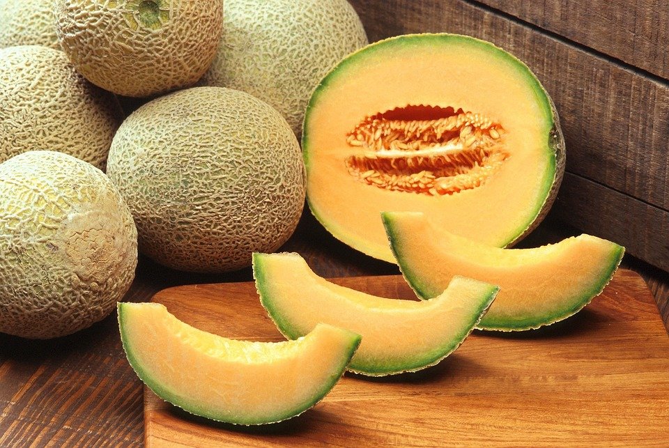 Cantaloupe Hales Best Jumbo
