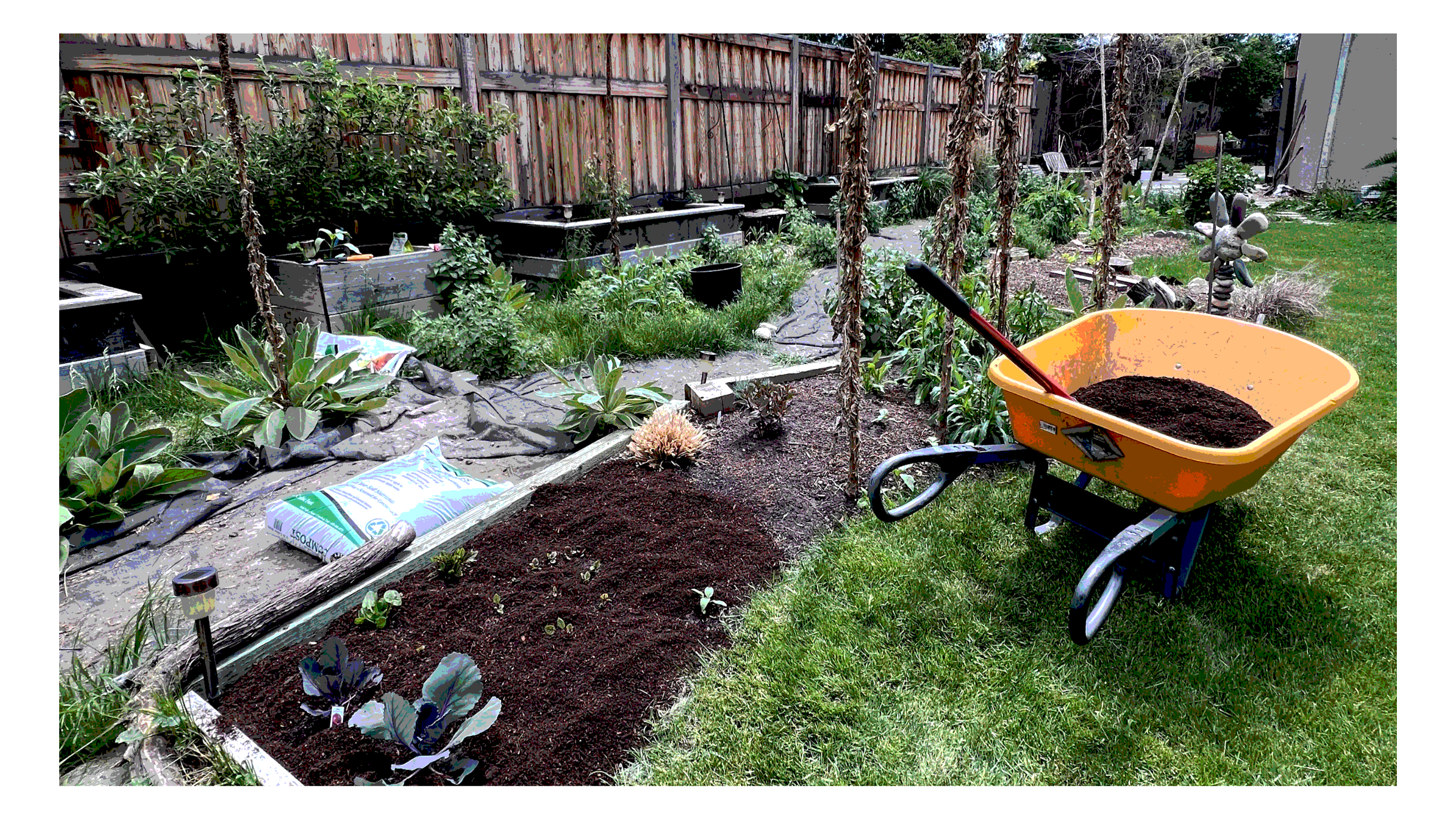 Regenerative Gardening and the Art of Noticing