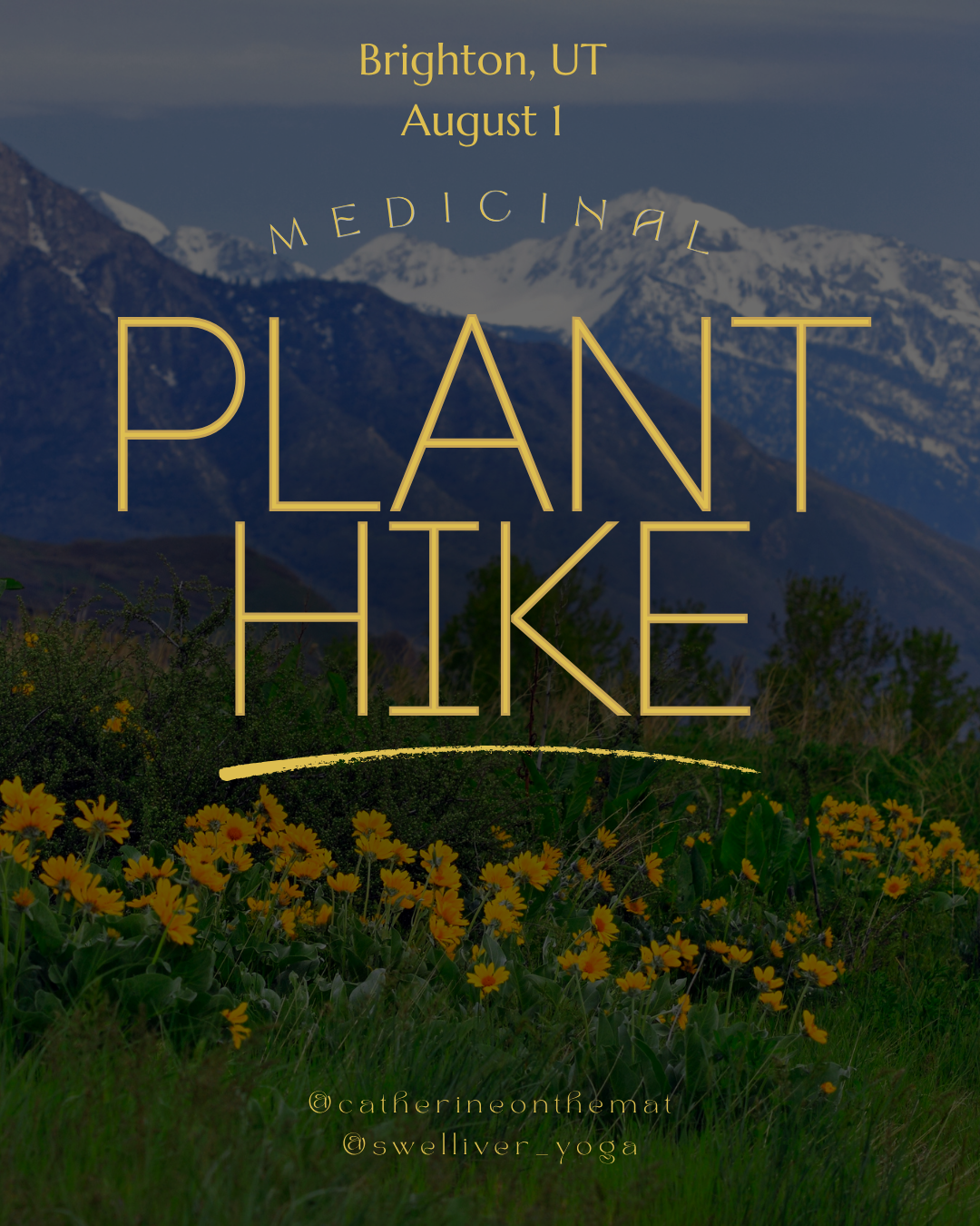 Plant Walk