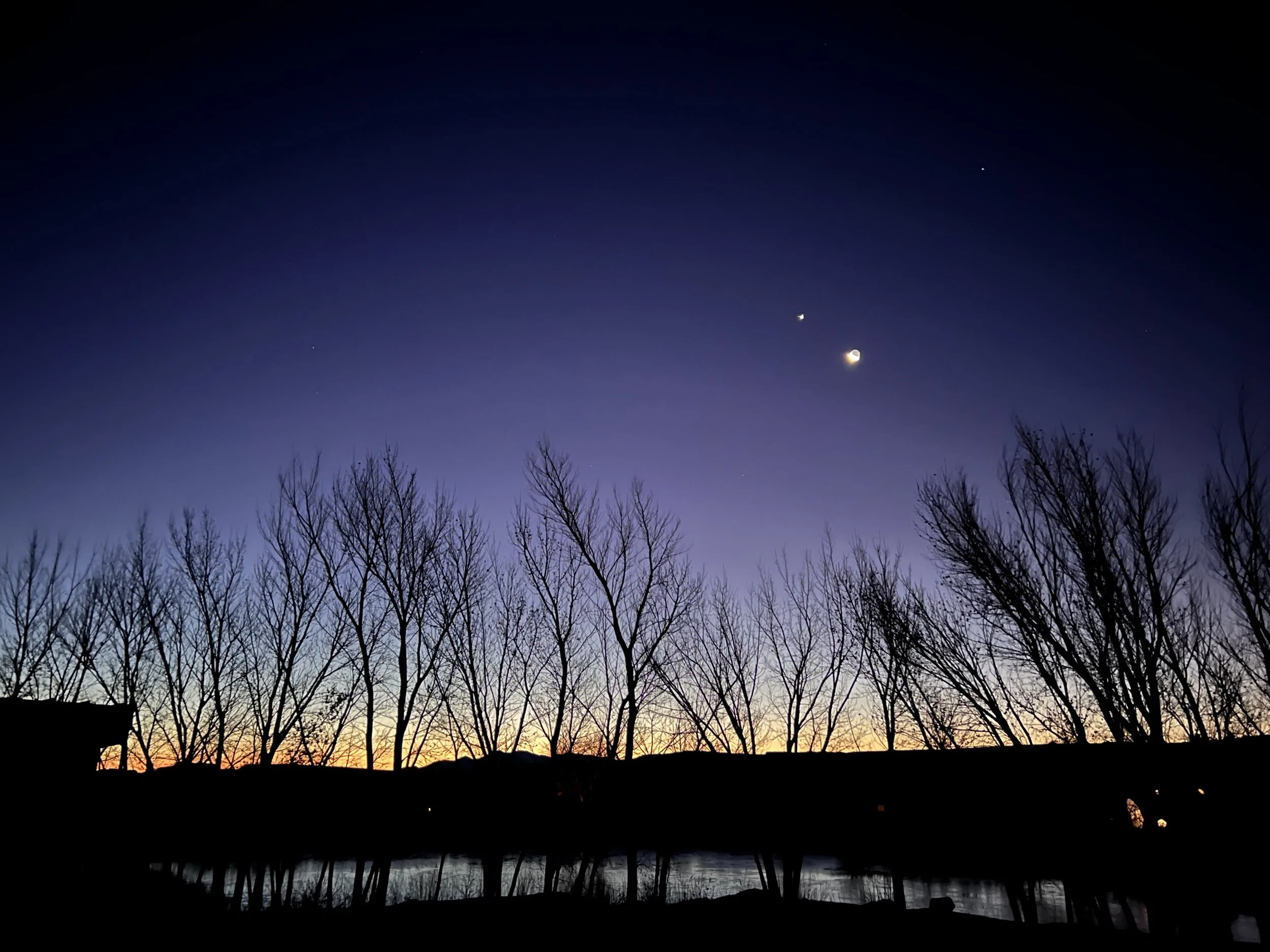 THE EQUINOX THRESHOLD: Herbal Allies for the Turn Toward Fall