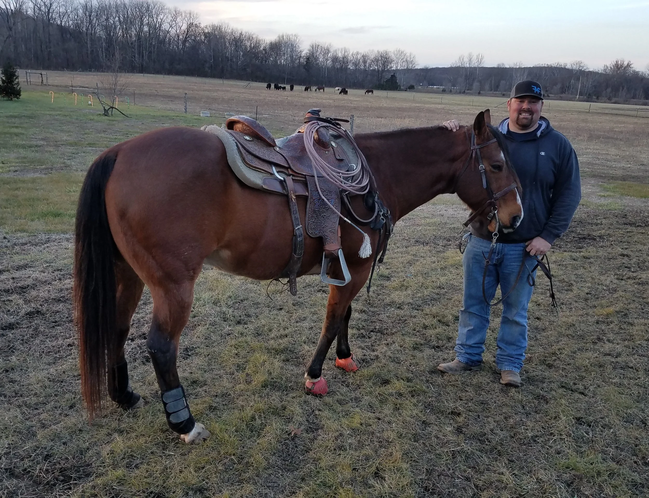 Horse with its owner