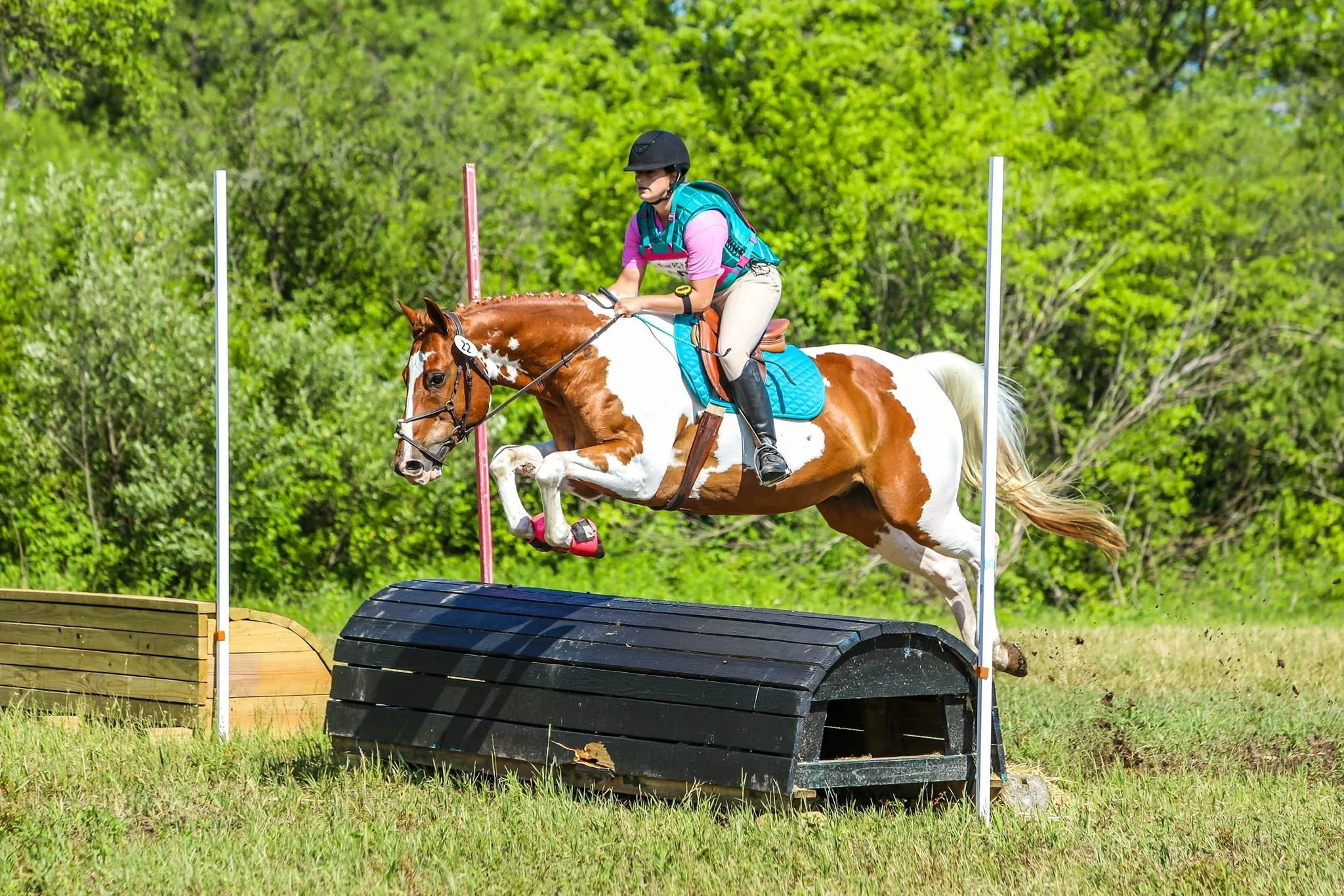 Picture of a horse jumping
