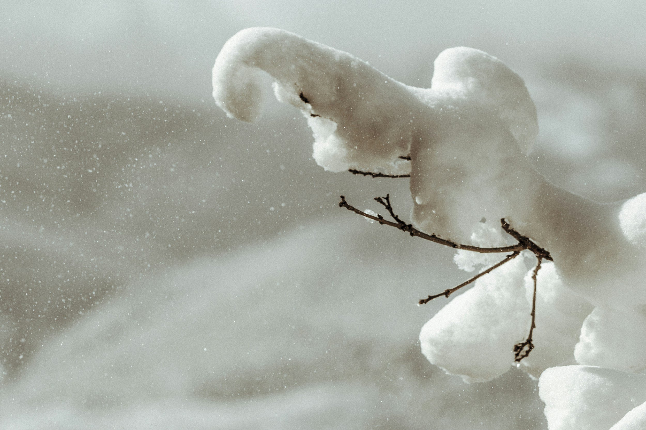 How to Prepare for Power Outages This Winter: A Homeowner’s Guide