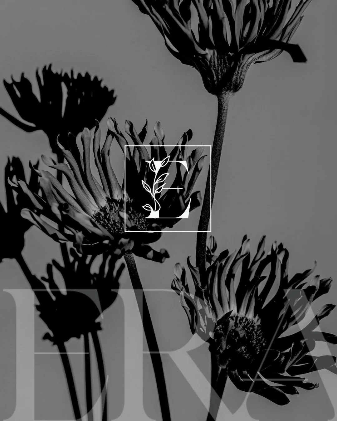 Get ready to experience ERA! Our official opening date is coming soon!🎉

Be the first to know. Sign up for updates at www.eraeventvenue.com

#EraEventVenue #NewVenueComingSoon #TorontoEvents #GTAWeddings #EventSpace #GrandOpening #LuxuryEvents #Comi