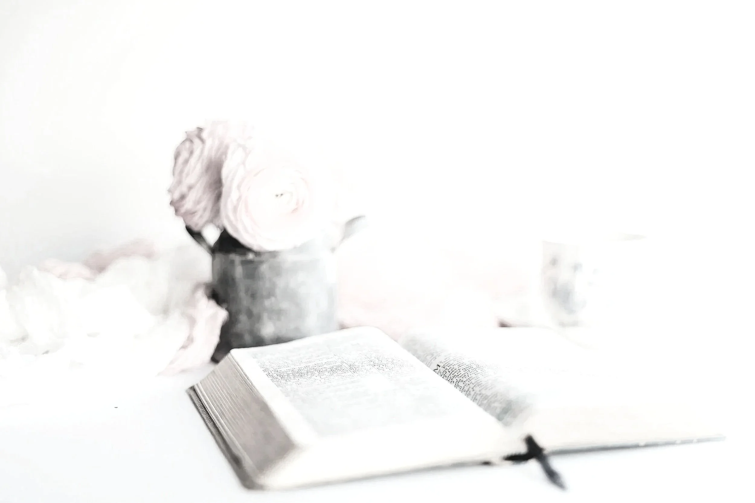 Close-up of a white flower in a small jar placed on top of an open newspaper, with a plain white background.