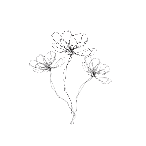 Outline drawing of a flower with two stems and five blossoms on a black background.