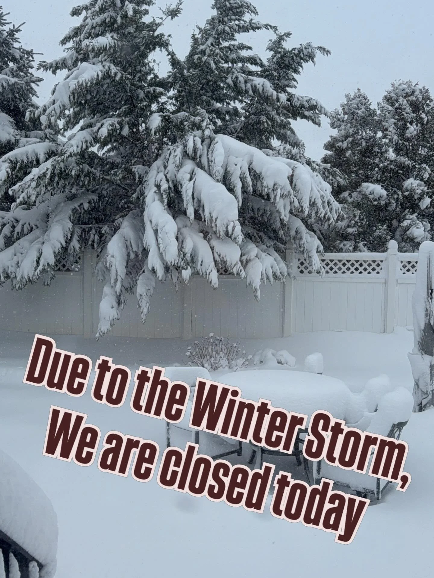 Snow day! ❄️ Due to the winter storm, we&rsquo;re closed today. Stay safe and warm &mdash; see you tomorrow!