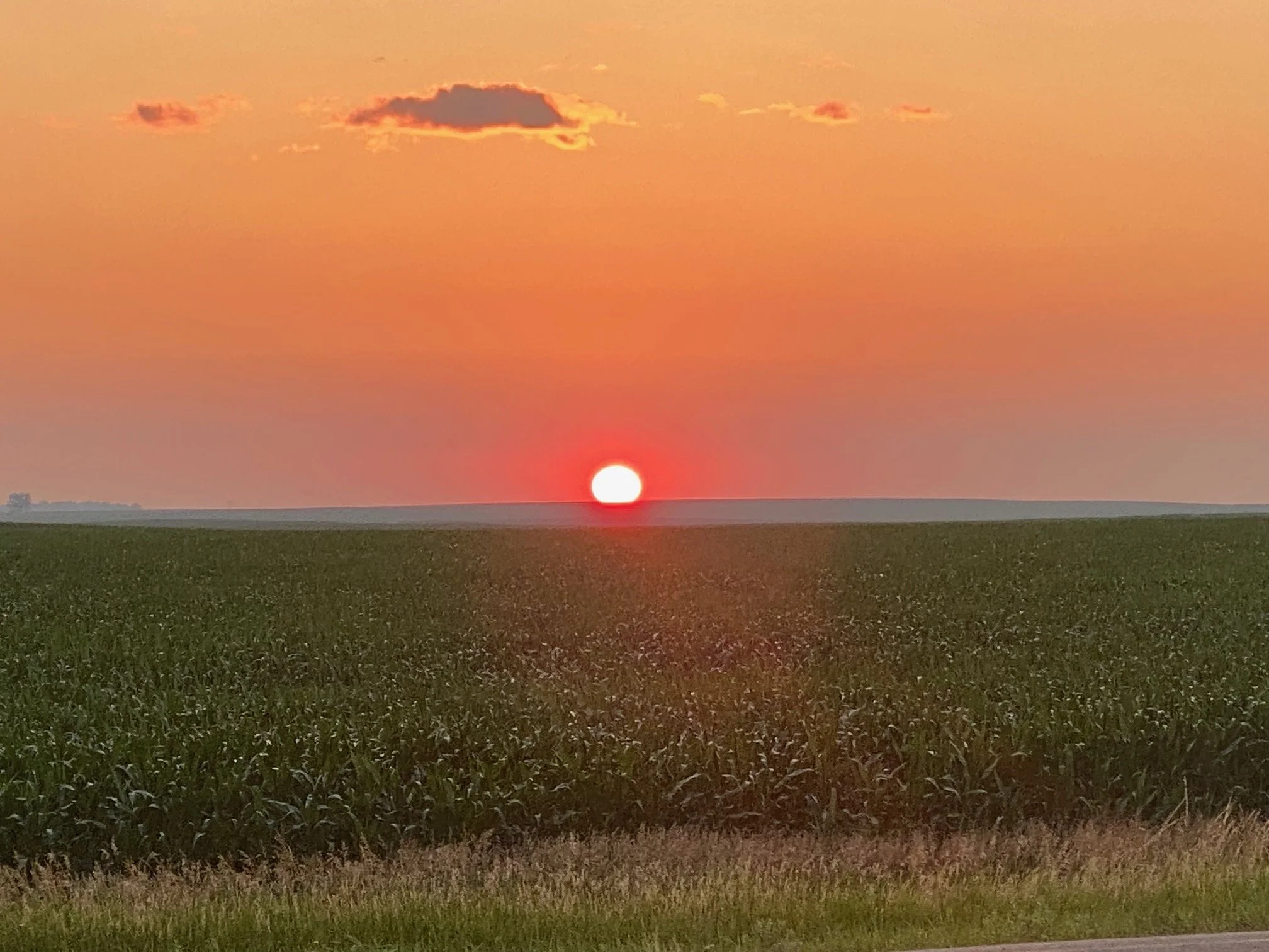 Sunset on a field