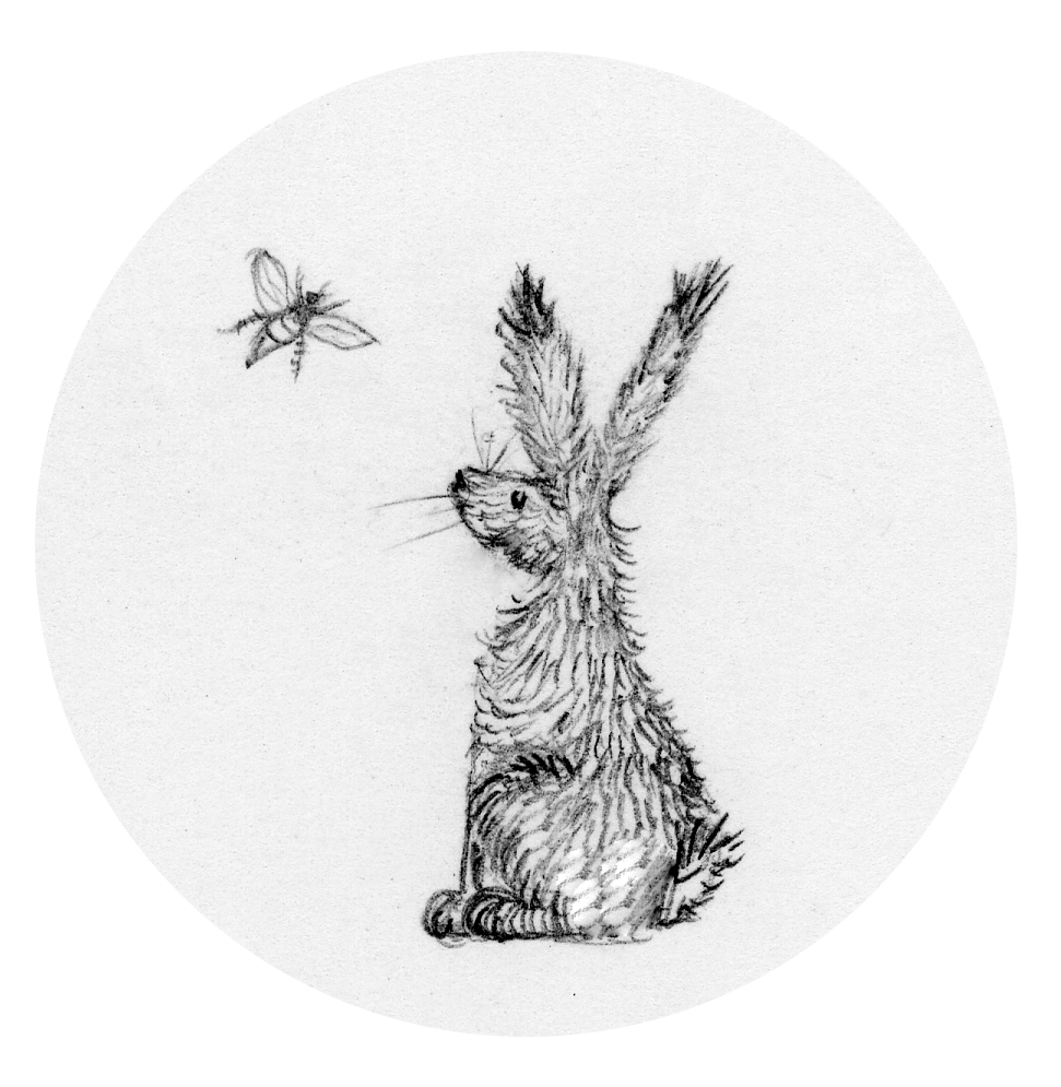 The Honeybee and the Hare Deborah Sheehy