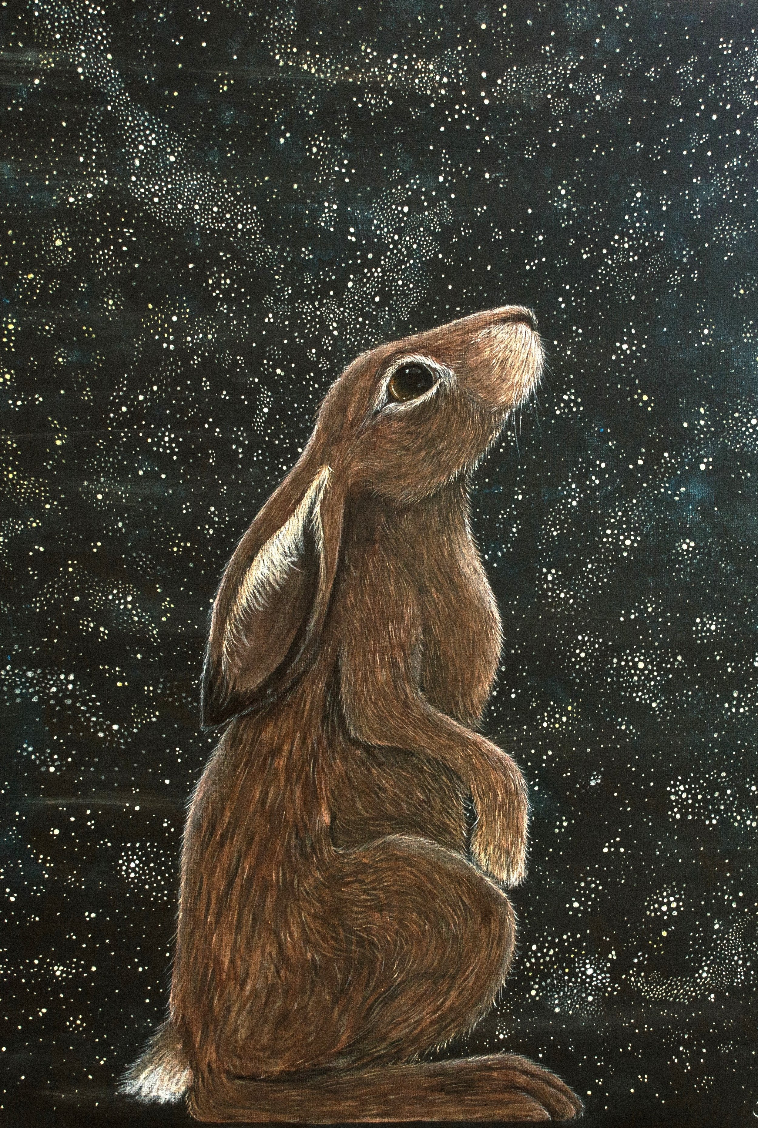 Waiting in Wonder by Deborah Sheehy (2).jpg