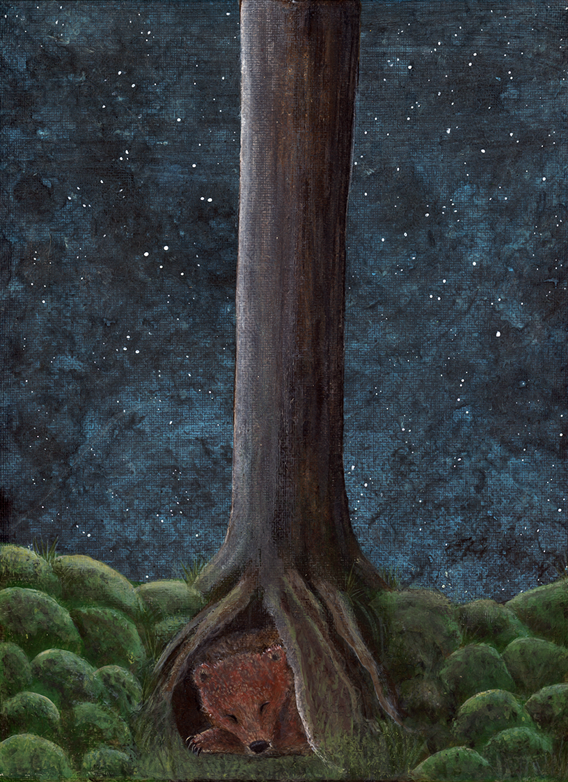 Slumbers by Deborah Sheehy.png