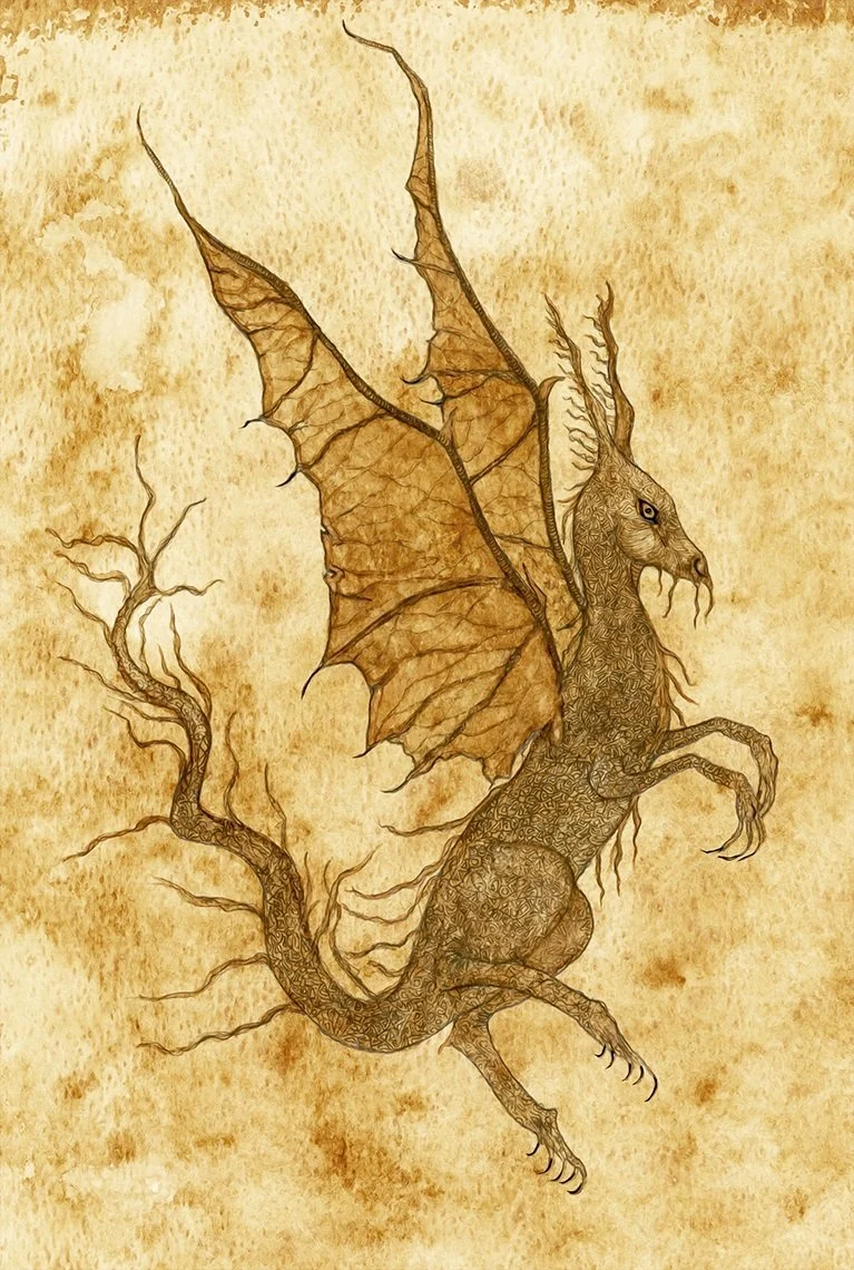Ragged Dragon