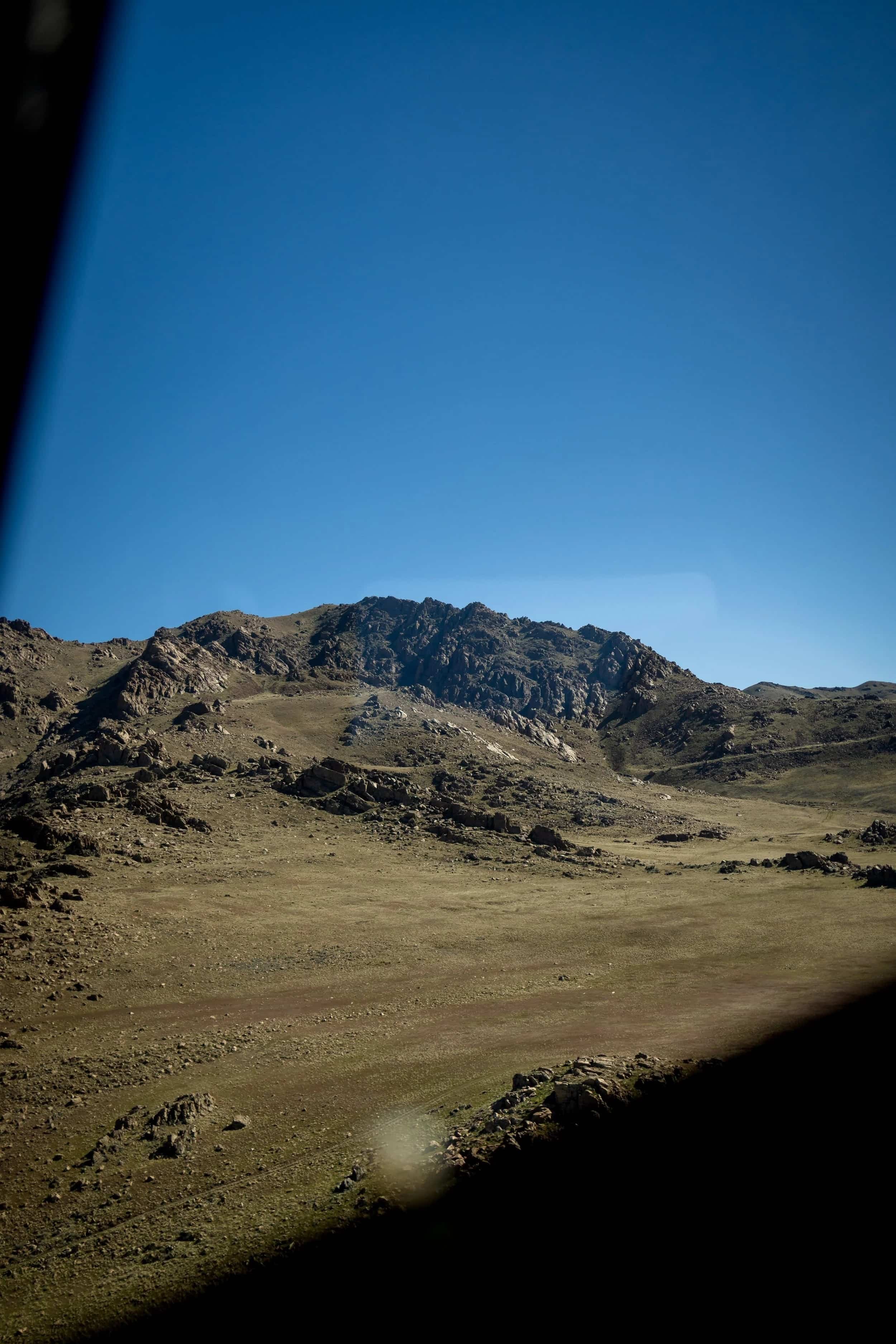 Bison grazing on the open grassland of Antelope Island seen from an aerial view.