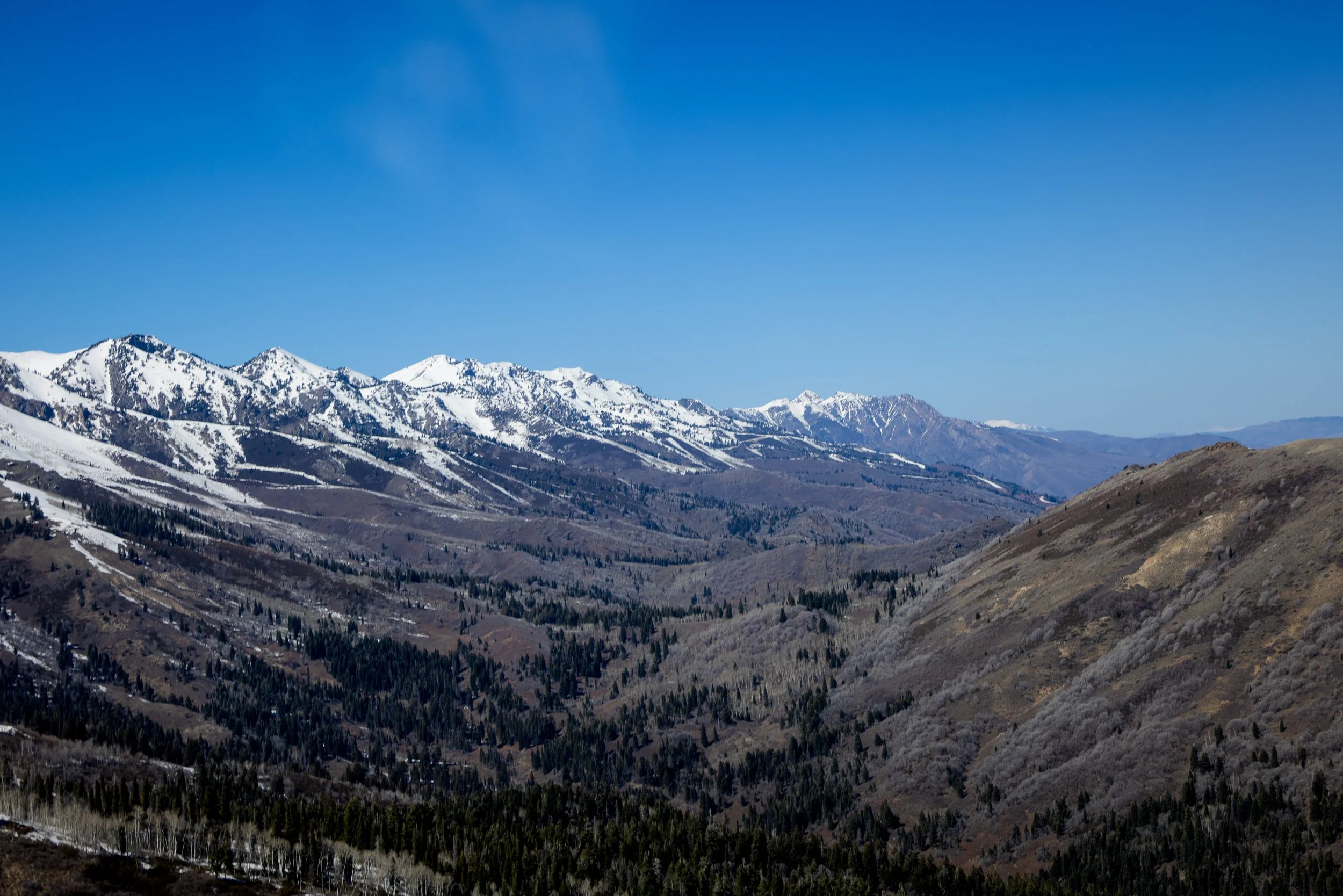 helicopter flights utah