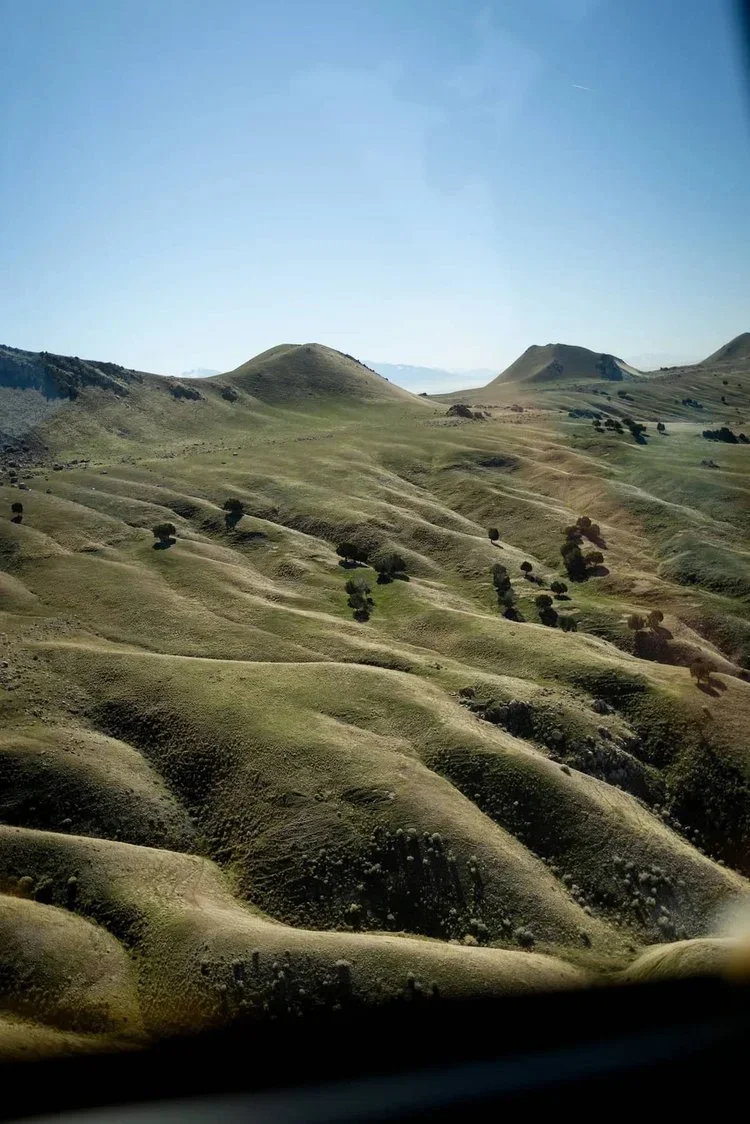 antelope island utah tours
