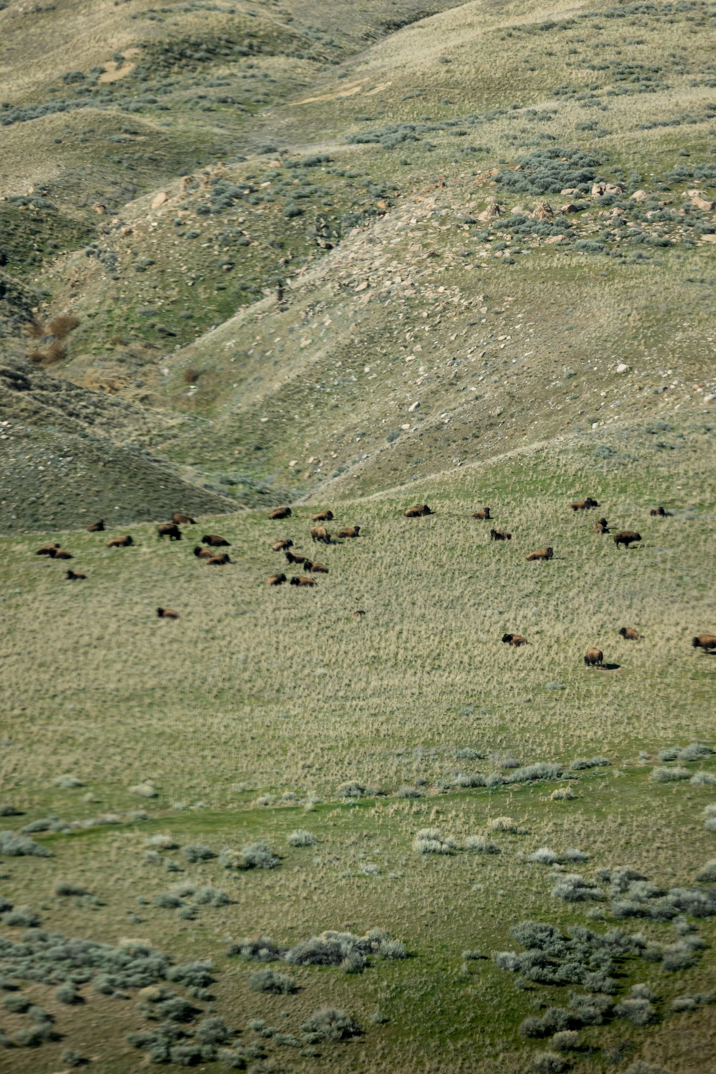 helicopter tours in utah