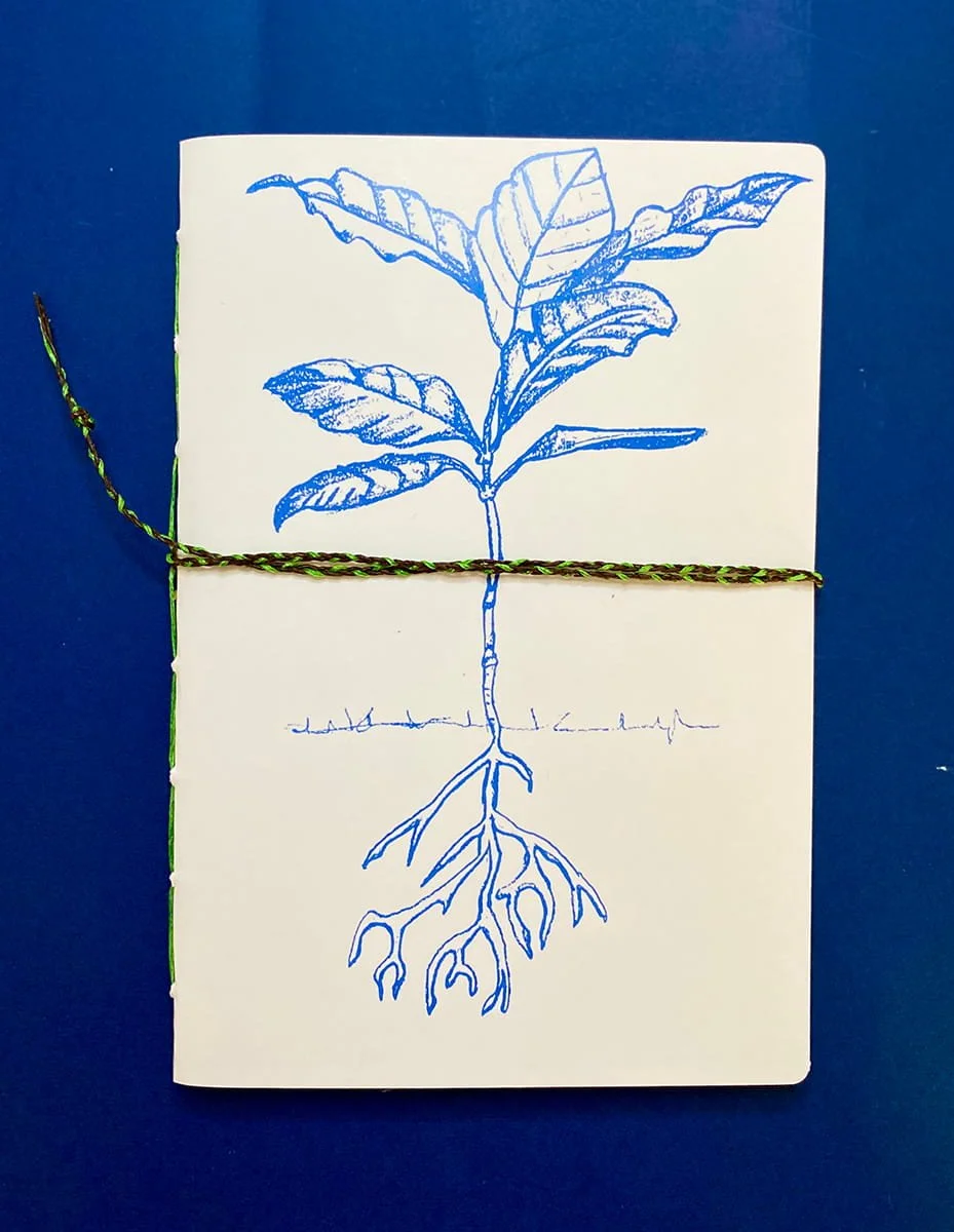 The Growing Plant - A4