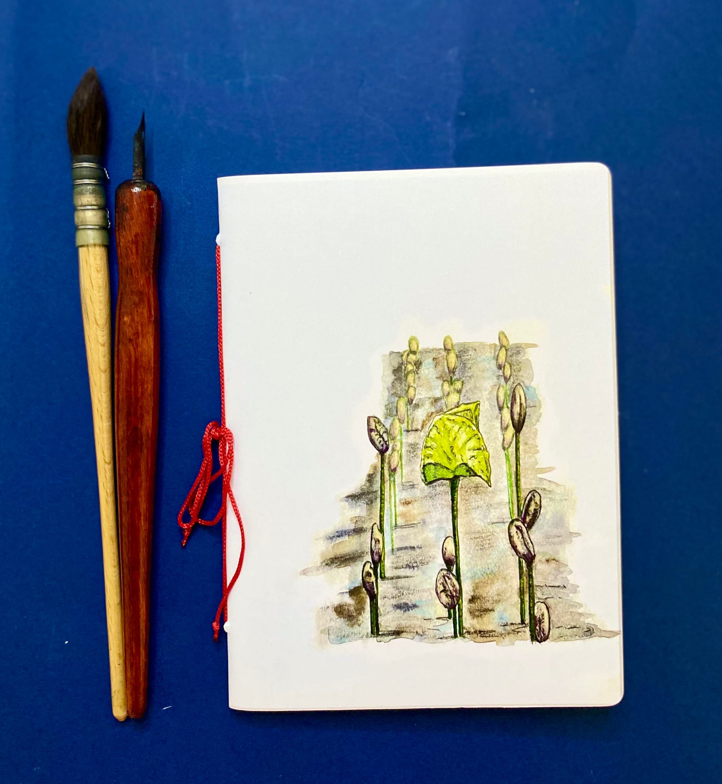 Field of Seedlings - Passport
