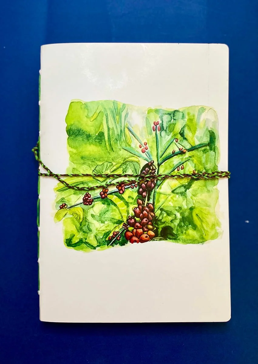 Coffee Cherries - A4