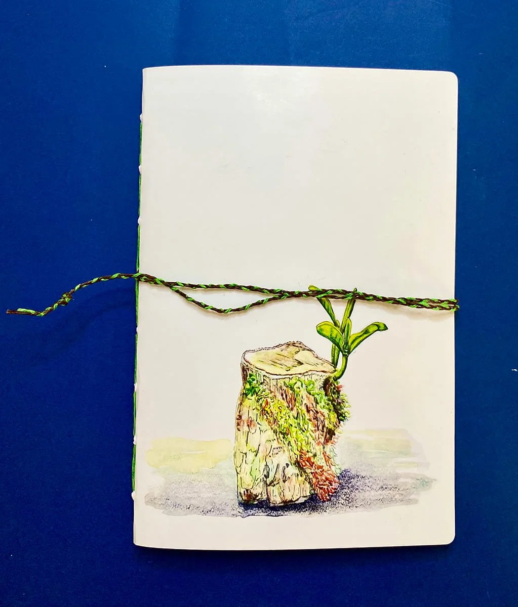 the trunk and new shoot.jpg