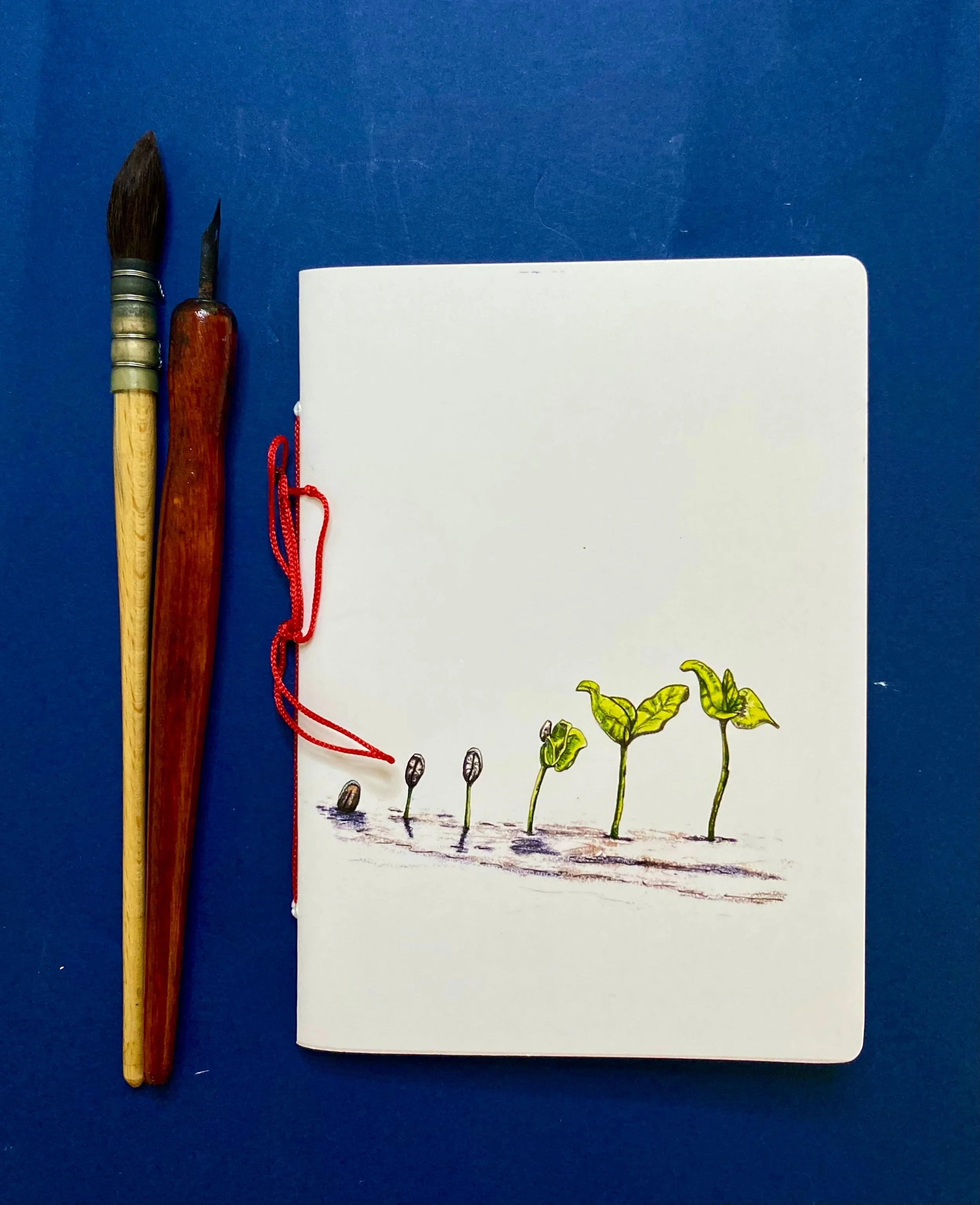 growth.jpg